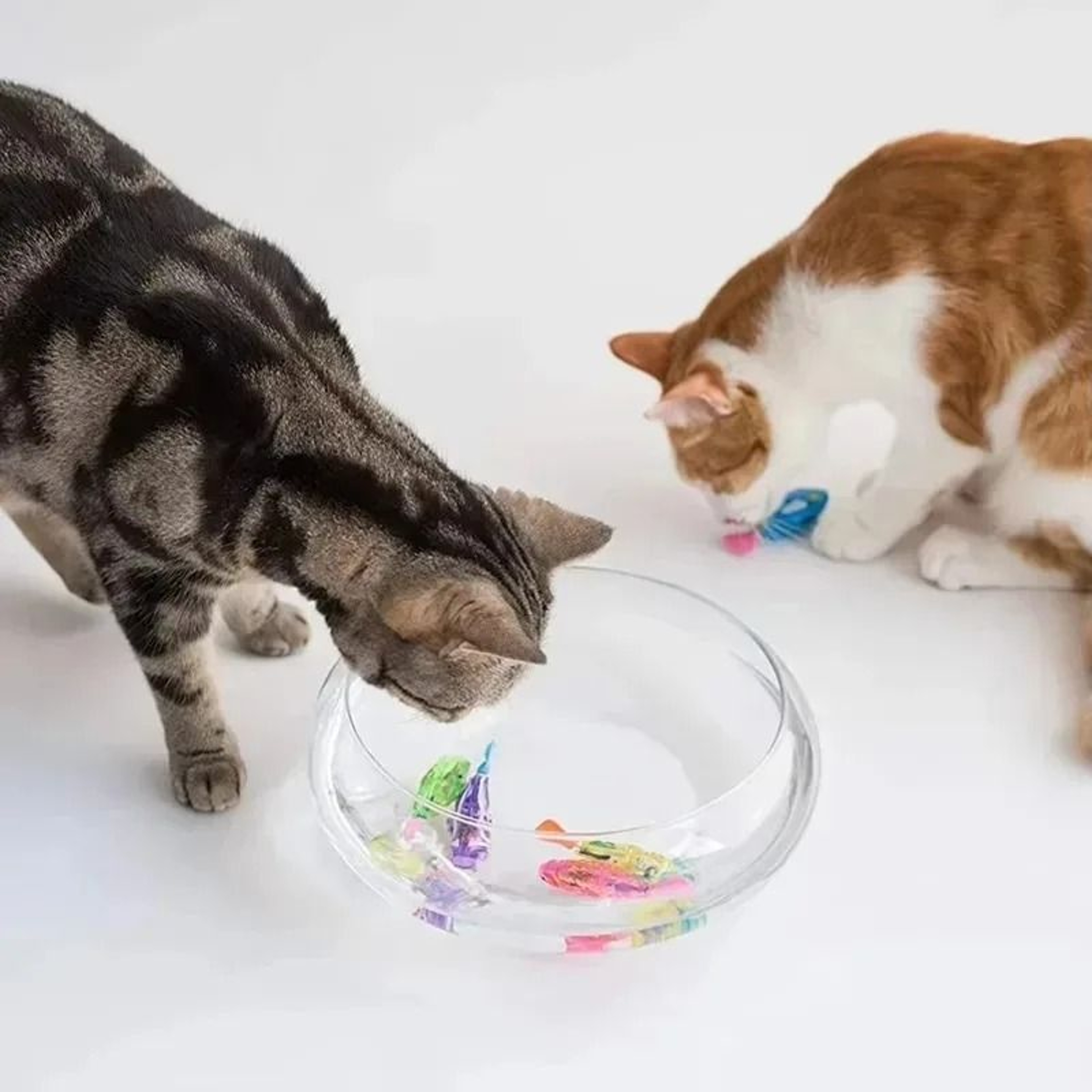 LED Interactive Swimming Robot Fish Toy For Cats And Kittens 4