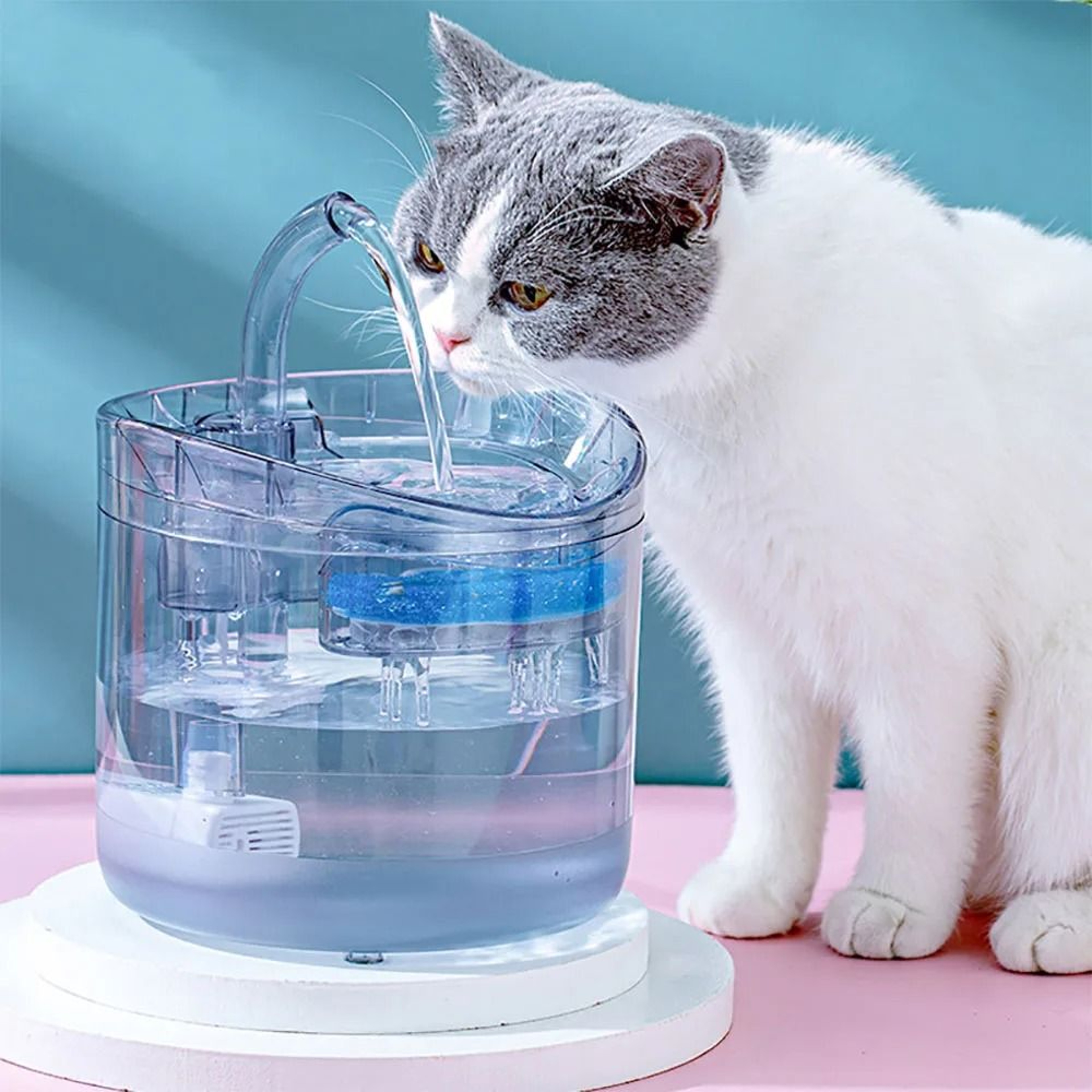 Smart Motion Sensor Pet Water Fountain 67oz Automatic Drinking Station 1