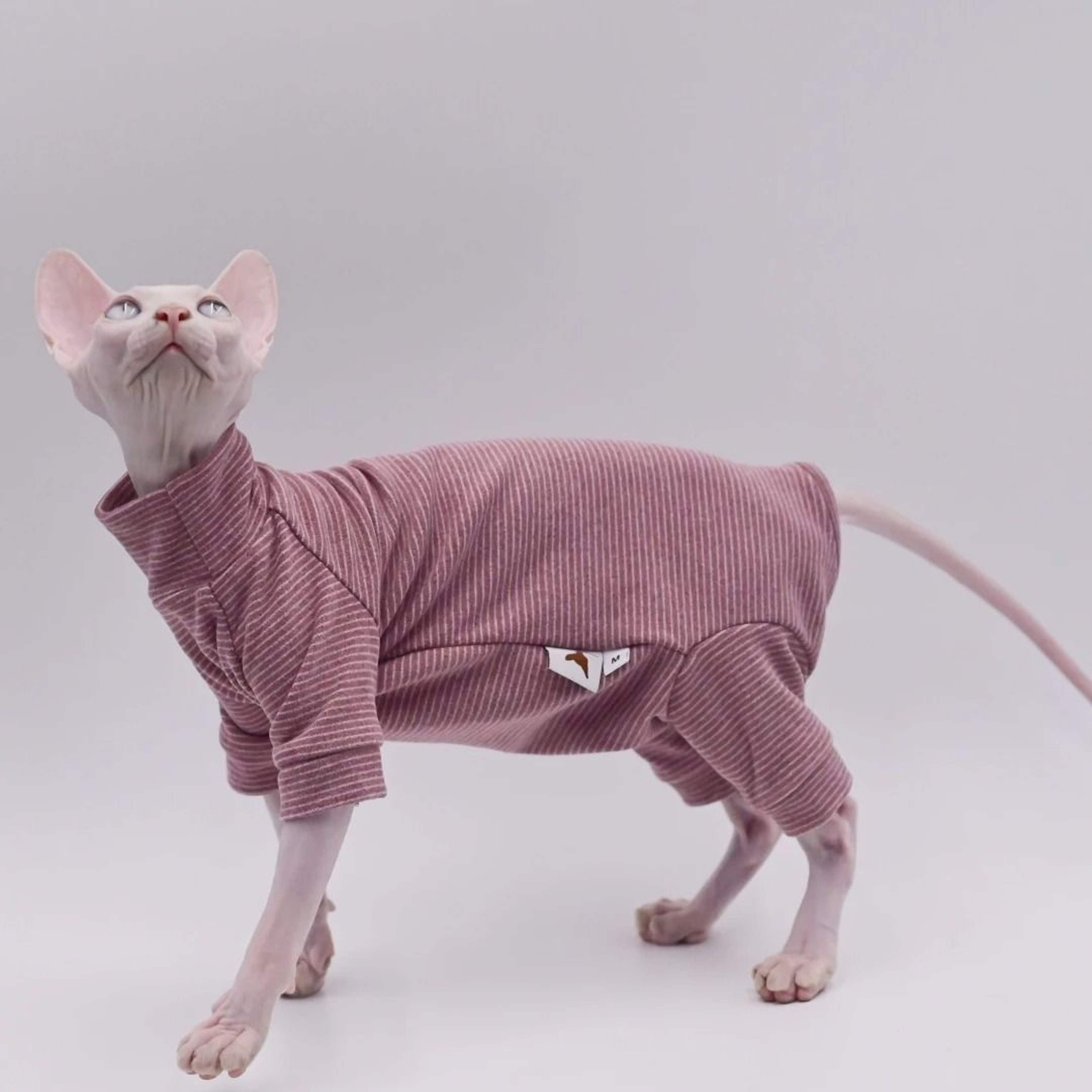 CozyPaws FourLegged Hoodie For Sphynx Devon Rex  Cornish Rex Cats 1
