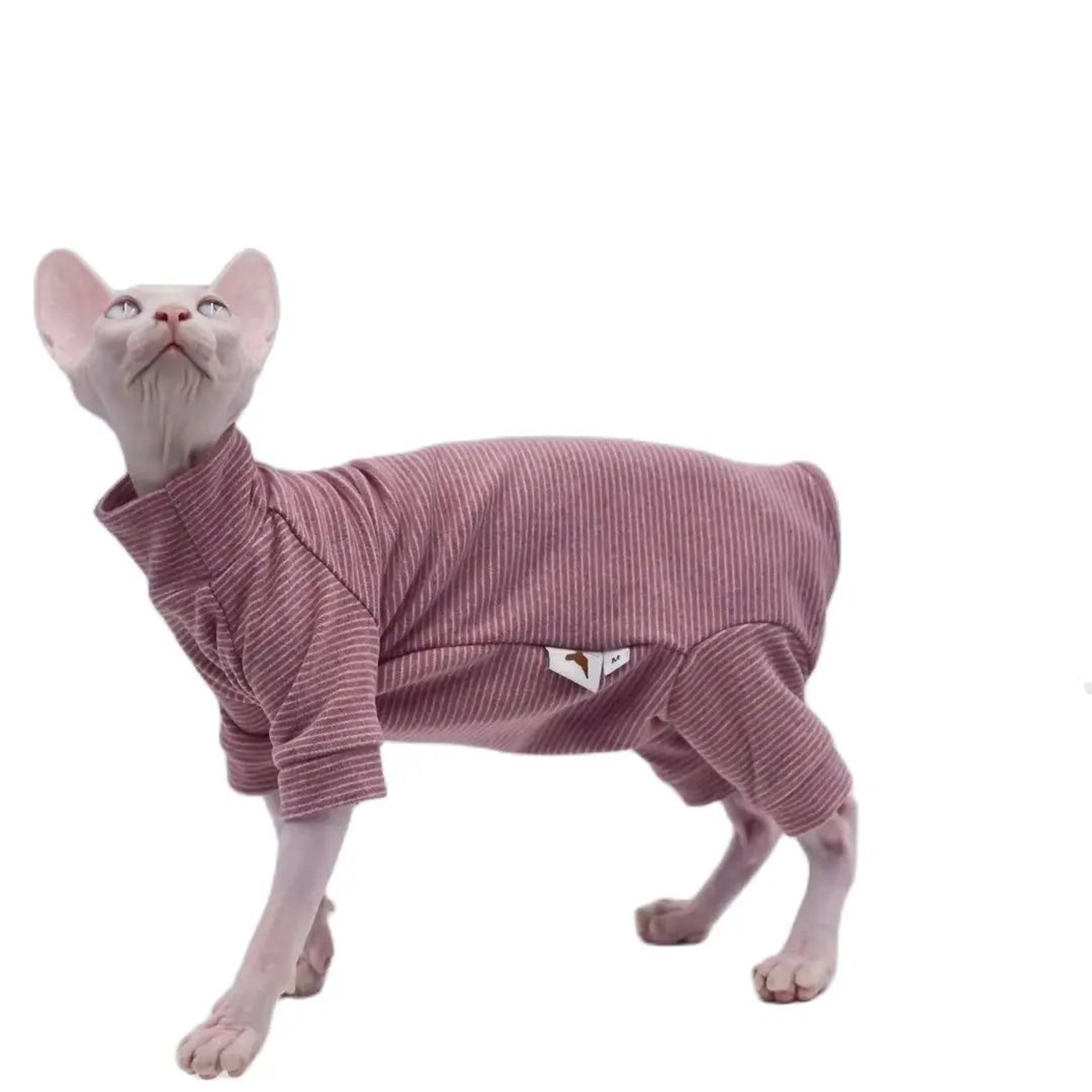 CozyPaws FourLegged Hoodie For Sphynx Devon Rex  Cornish Rex Cats 6