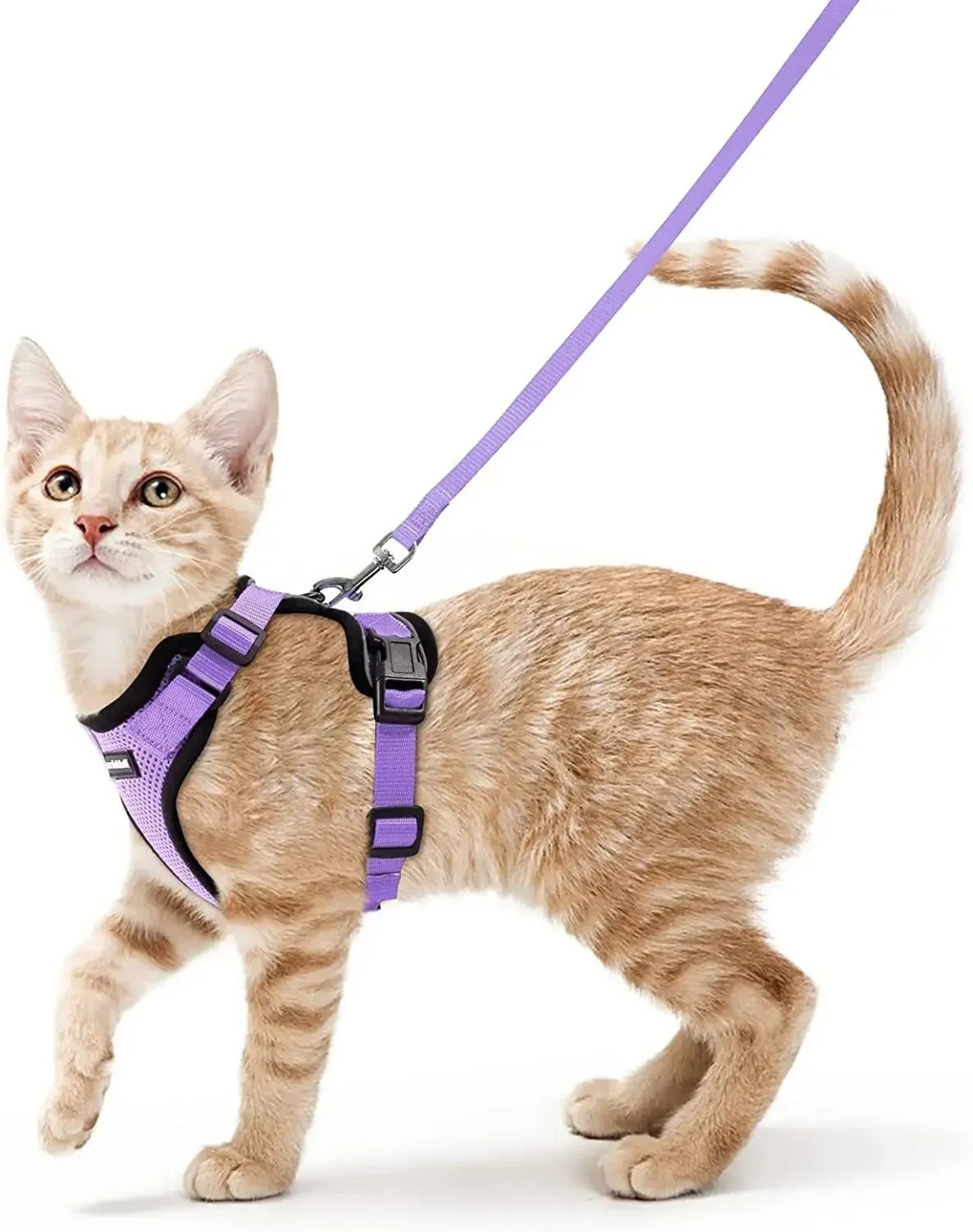 SafePaws EscapeProof Reflective Cat Harness  Leash Set 8