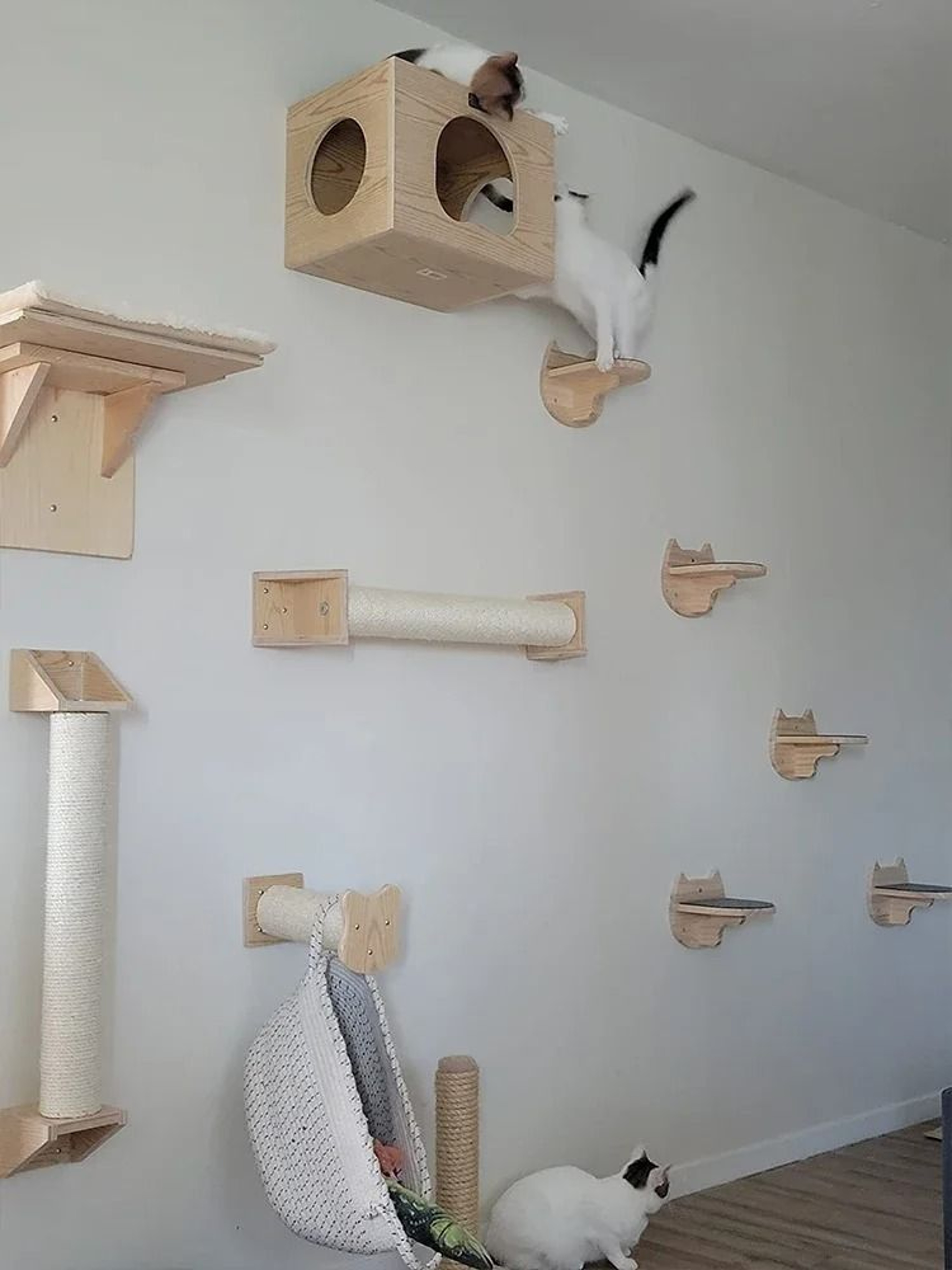 SkyTrail WallMounted Cat Climbing Shelf Set  Sisal Scratching Steps  Elevated Cat Playground 4