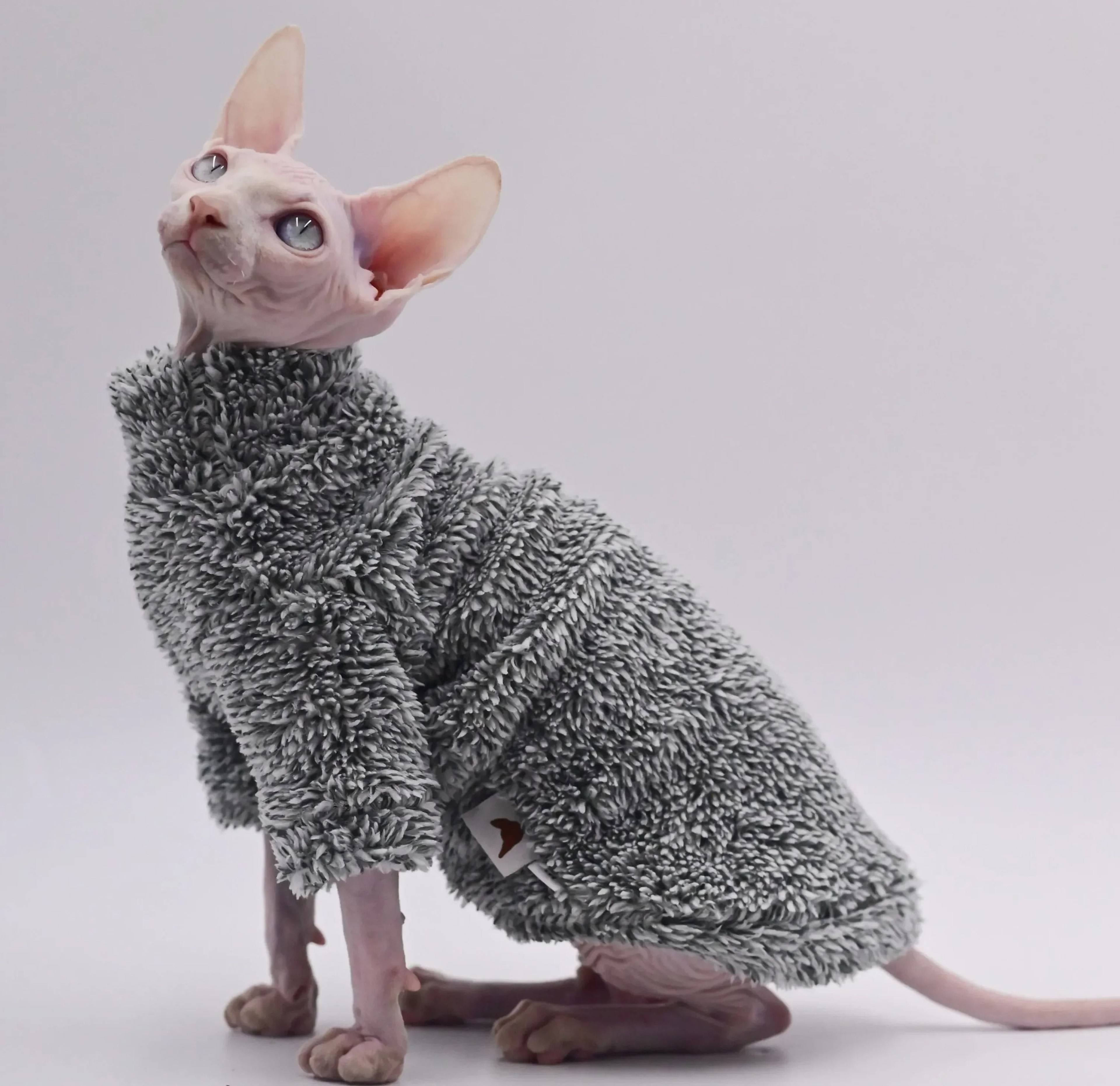 DUOMASUMI DoubleSided Winter Jacket For Sphynx Cats  Warm Hairless Cat Clothes With Soft Fluffy Ins 1