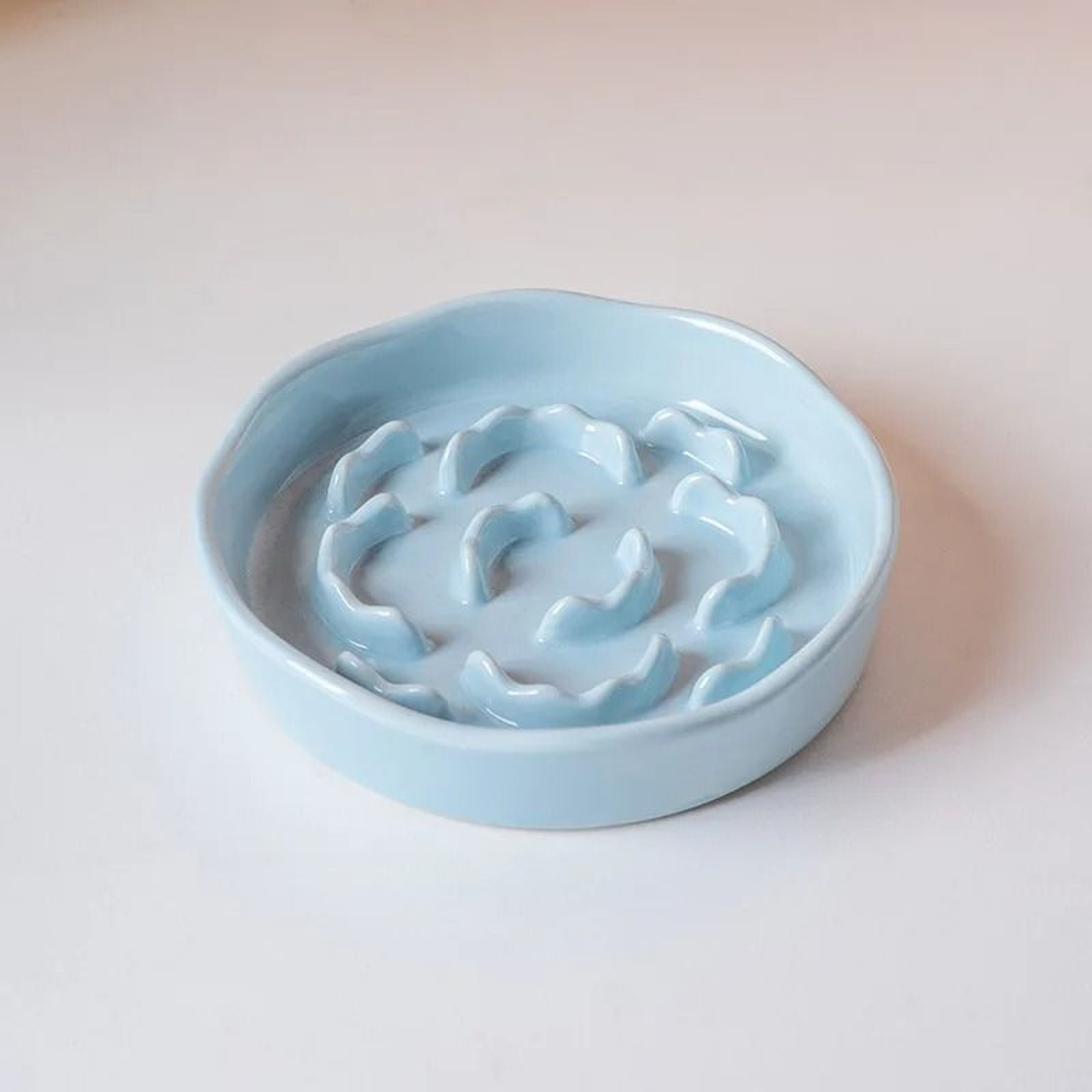 Raised Ceramic Slow Feeder Pet Bowl 12