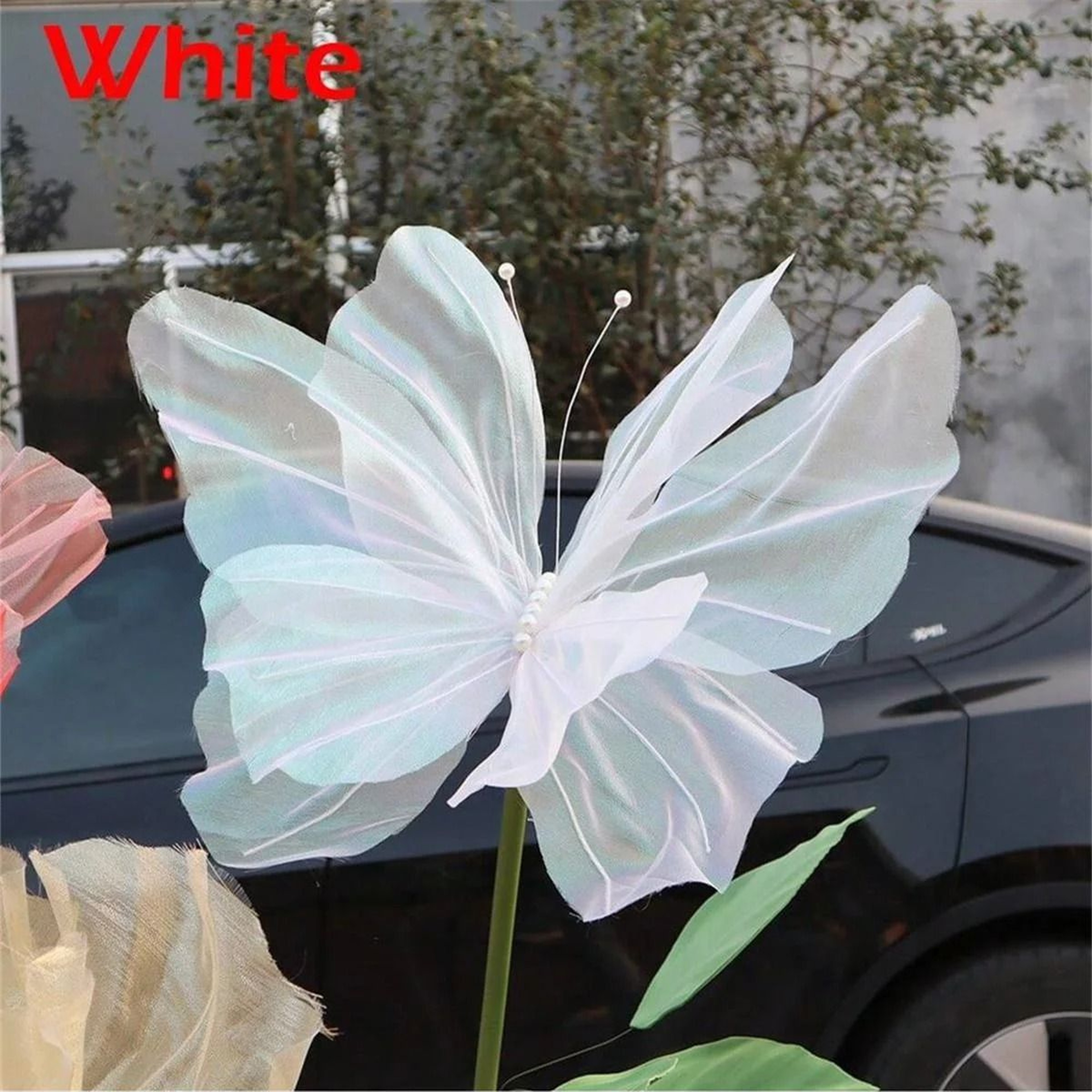 3D Butterfly Wall Decorations For Party Decor 8