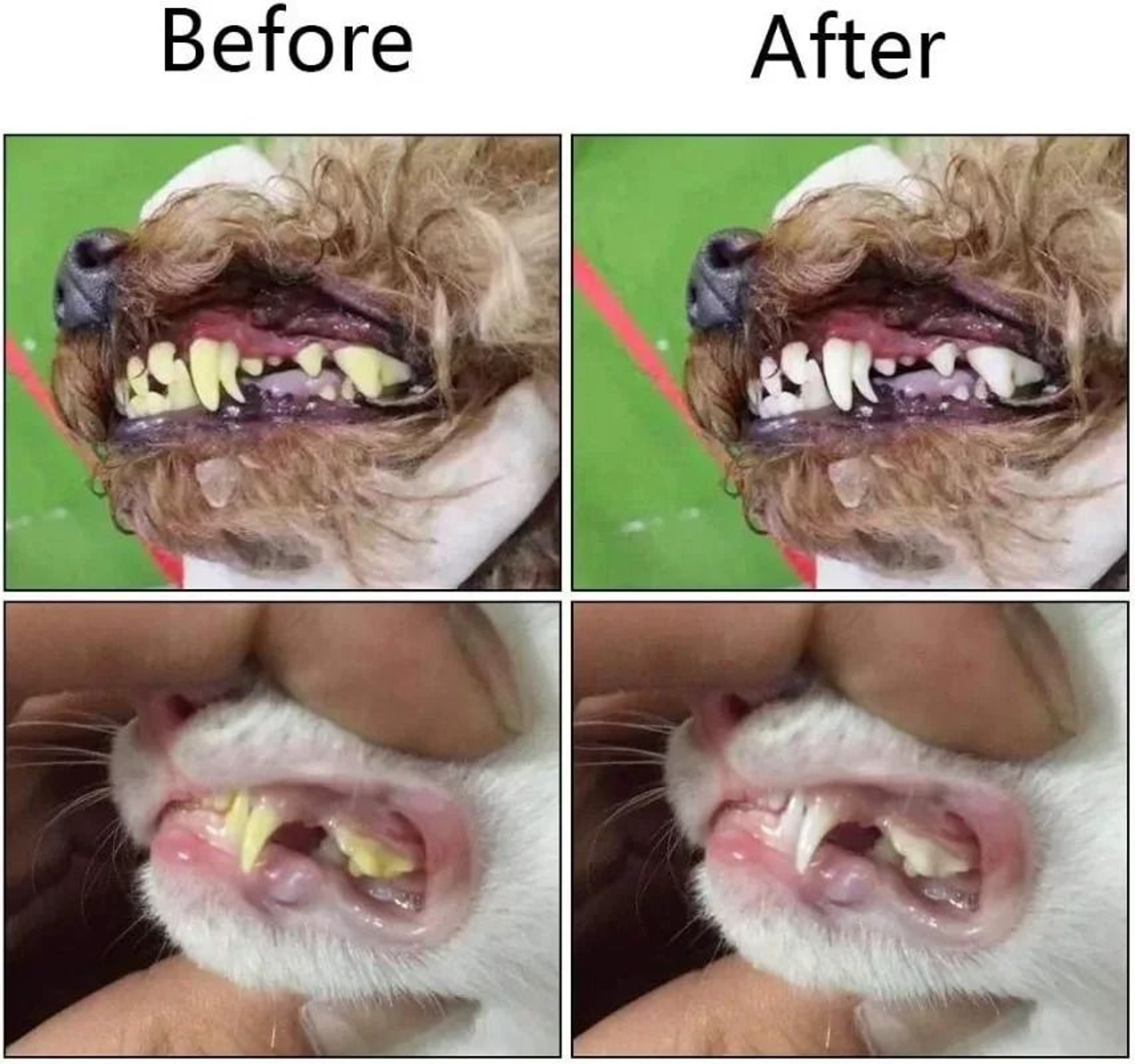 Silicone Pet Finger Toothbrush 4