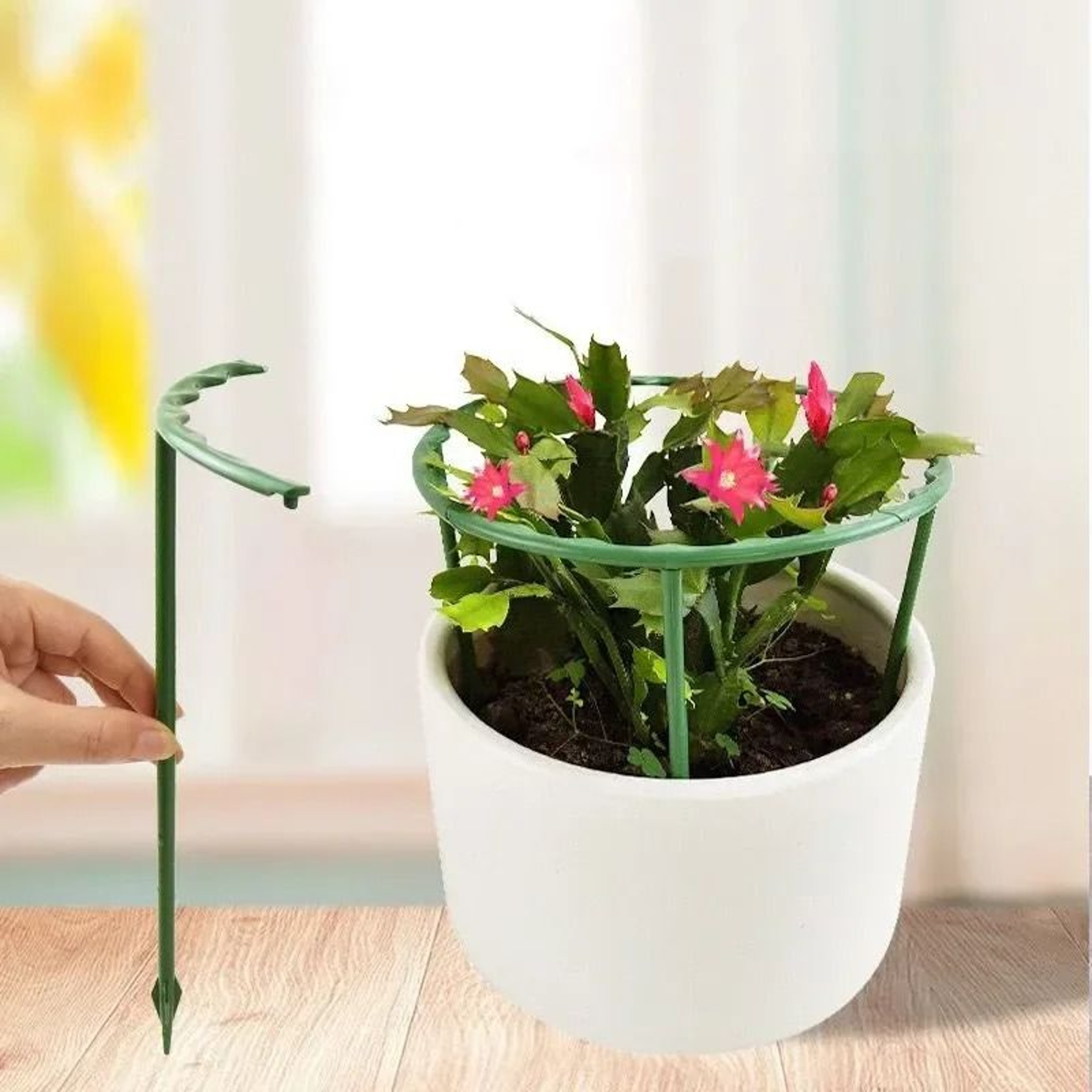 Semicircle Plant Support Stakes 4