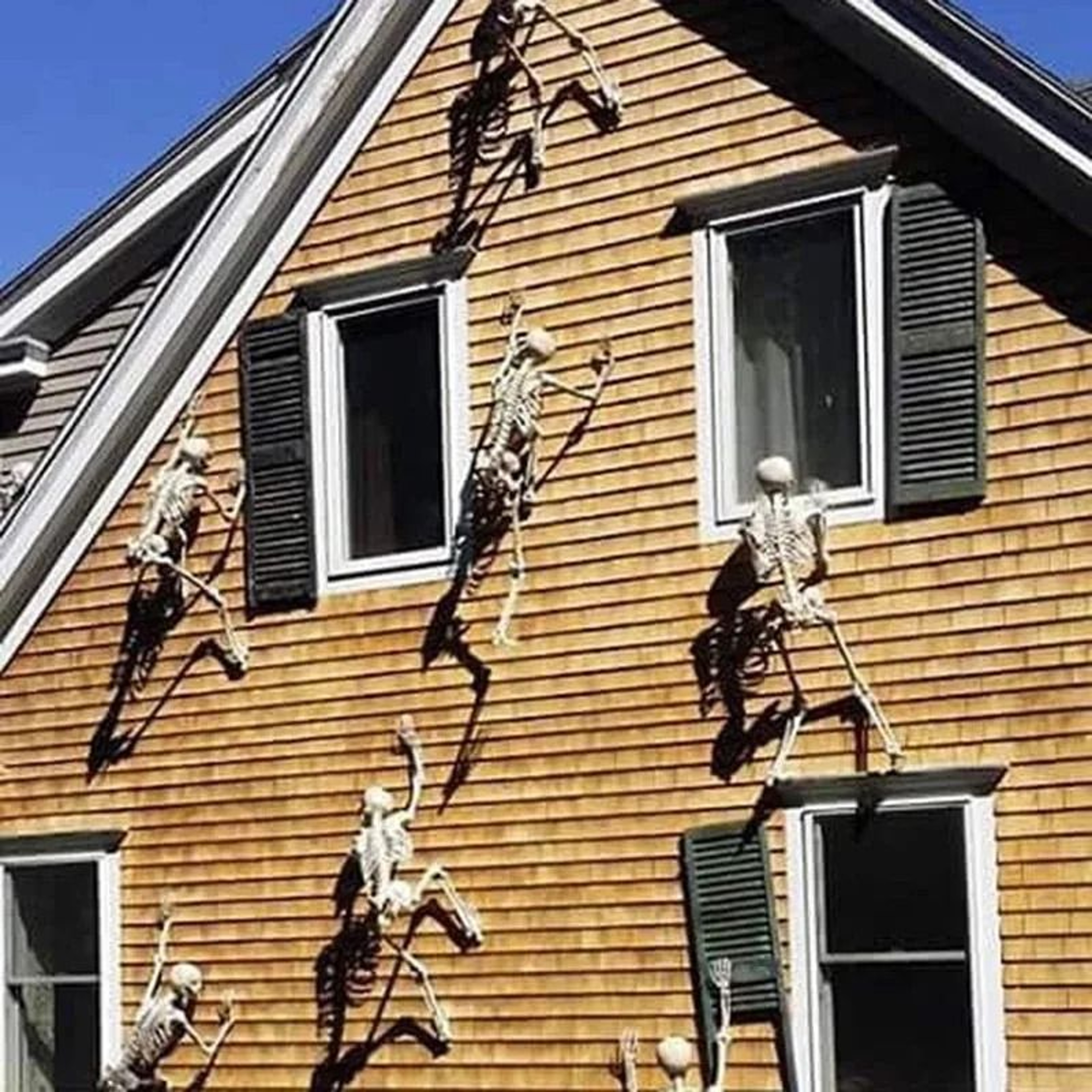 Posable Halloween Skeleton Decoration 4