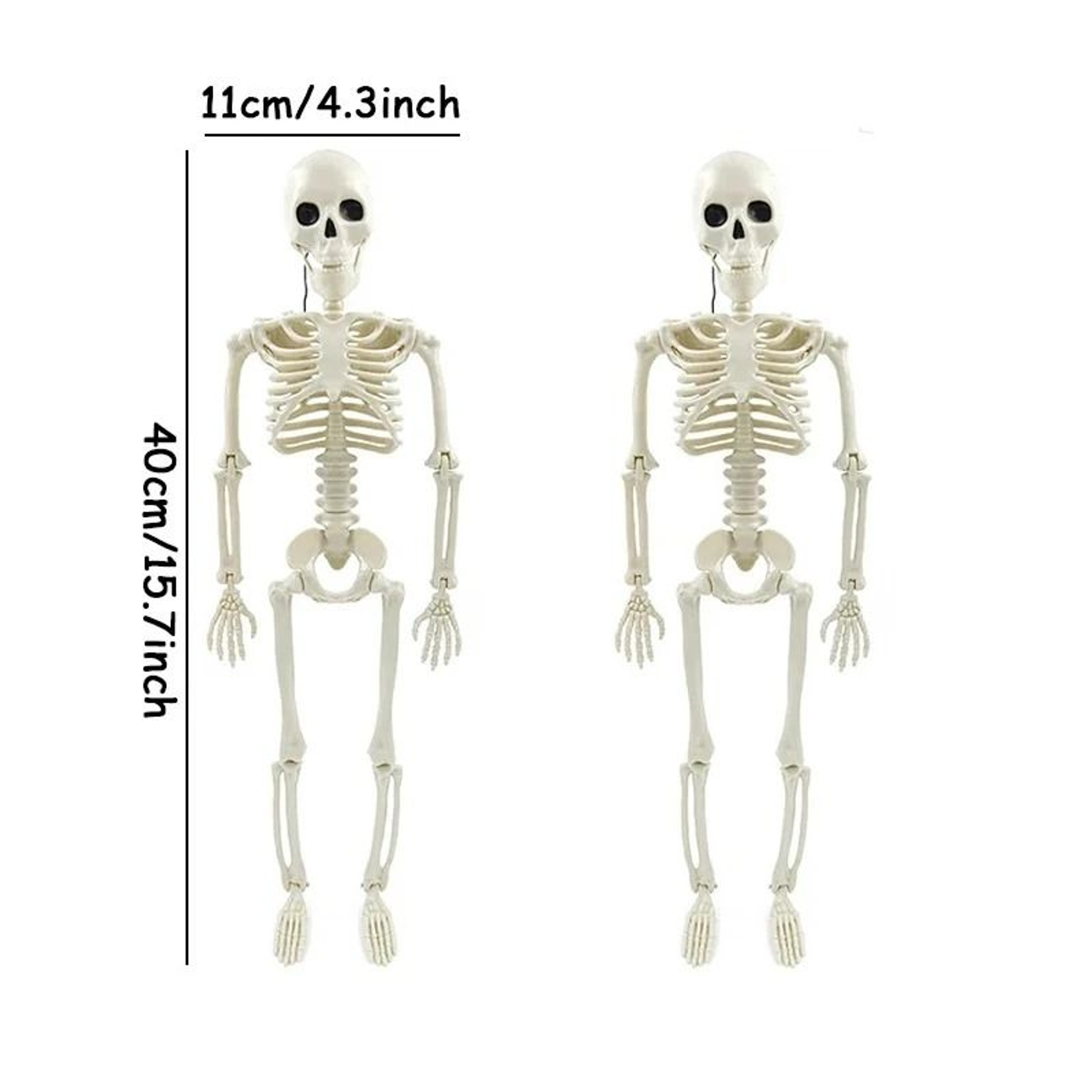 Posable Halloween Skeleton Decoration 7
