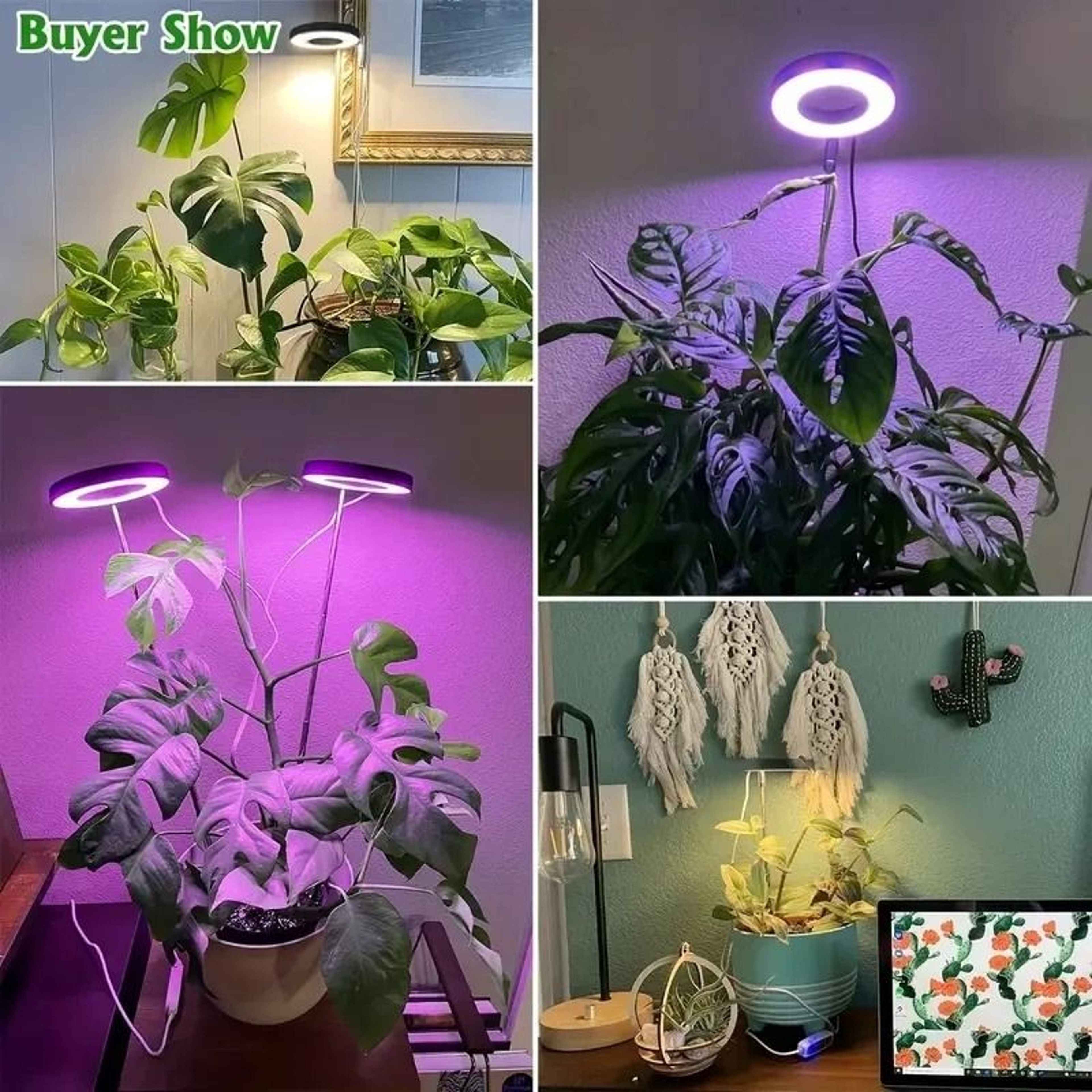 Full Spectrum LED Grow Light With Timer For Indoor Plants 2