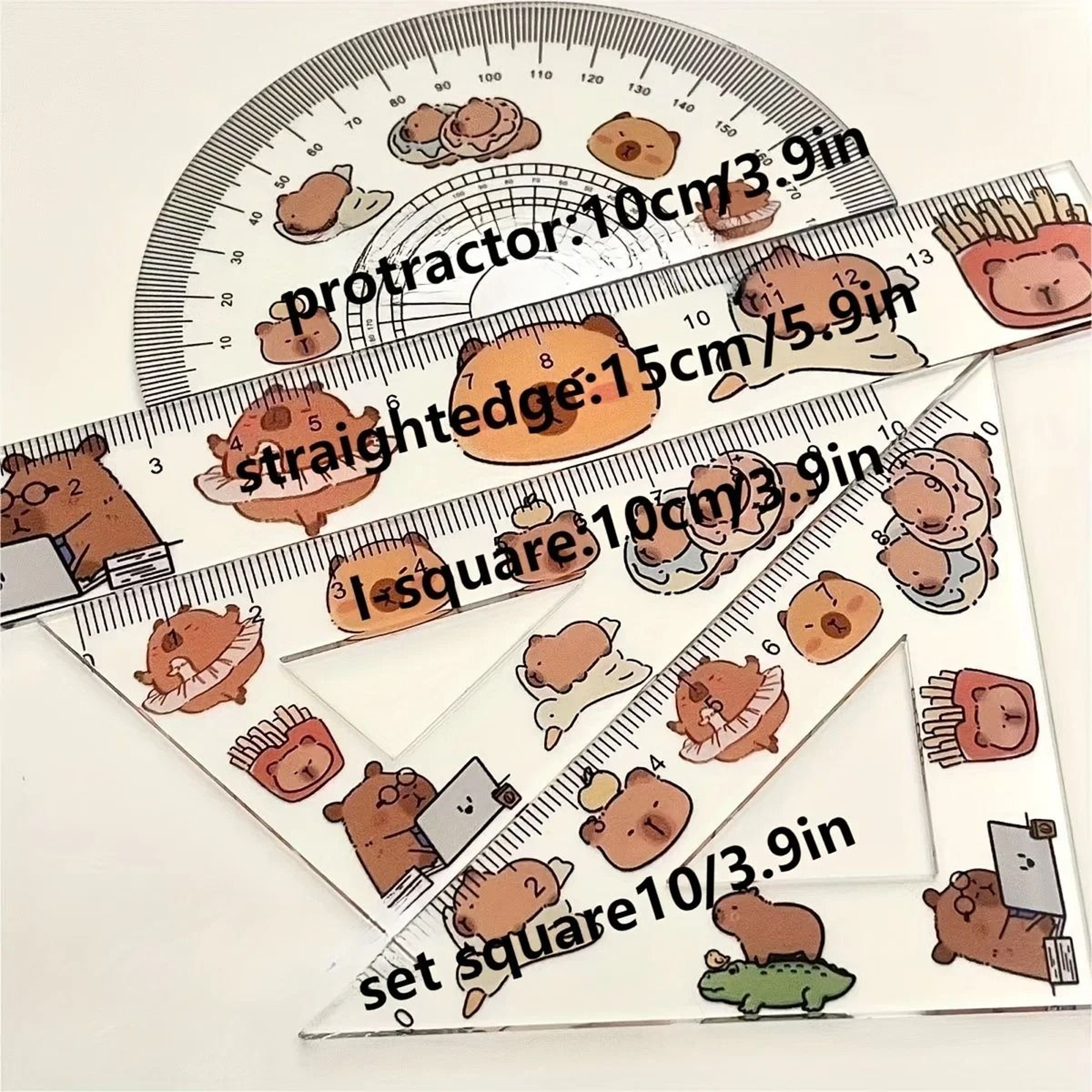Capybara Transparent Geometry Ruler Set For Drawing And School 4