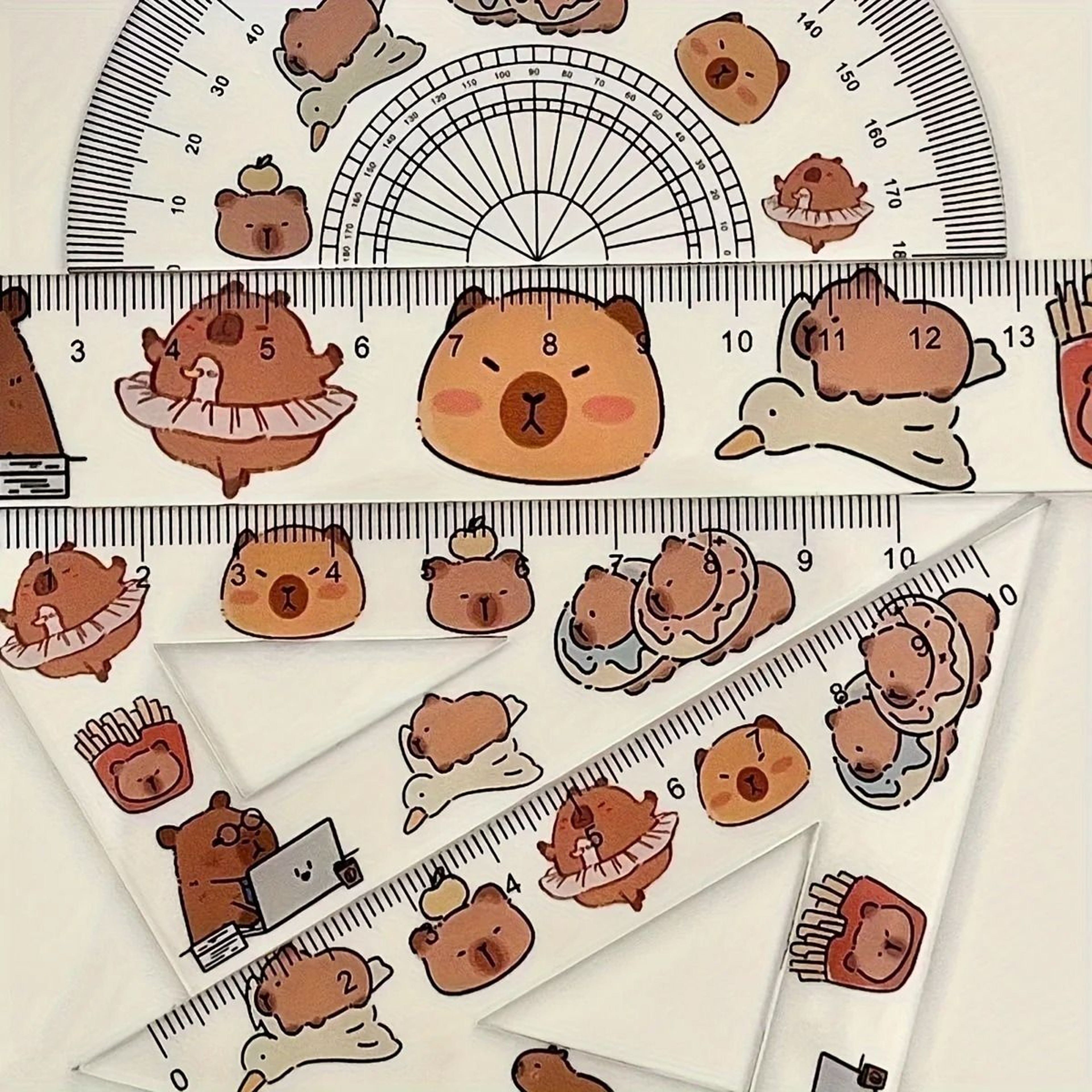 Capybara Transparent Geometry Ruler Set For Drawing And School 5