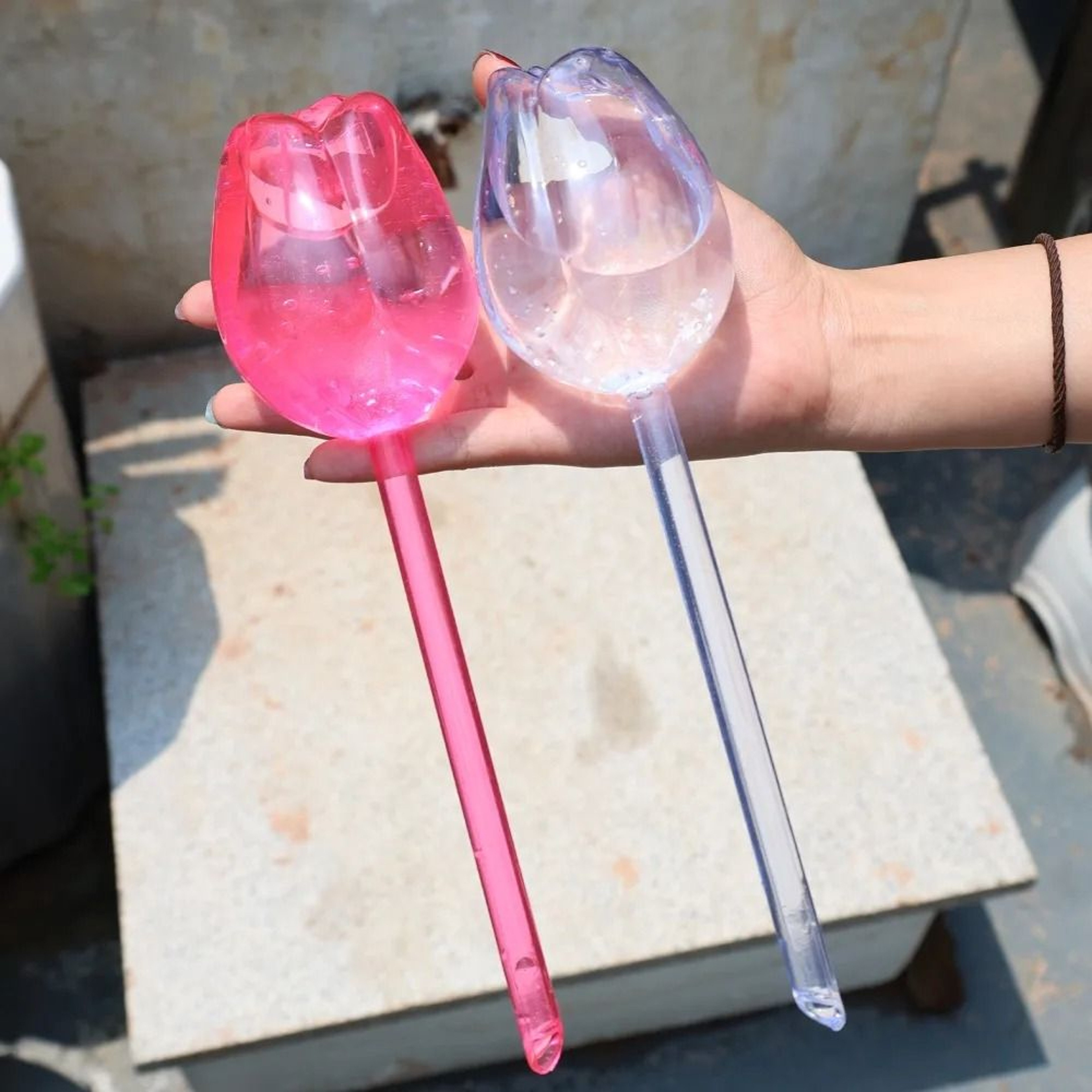 Self Watering Plant Globes Automatic Drip Irrigation Watering Bulbs For Indoor  Outdoor Plants 4