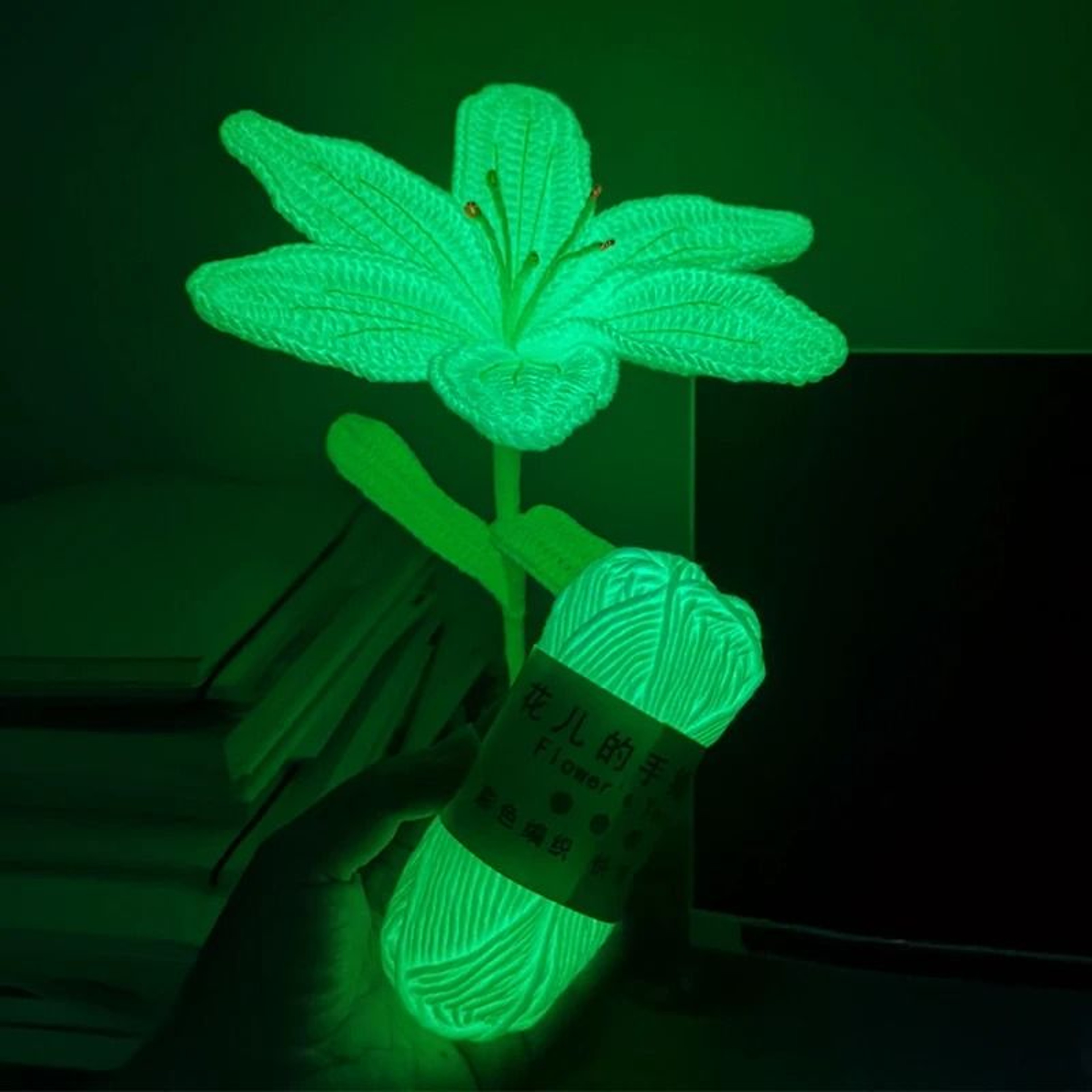 Glow In The Dark 2mm Luminous Polyester Yarn For Crochet Knitting  DIY Crafts 1