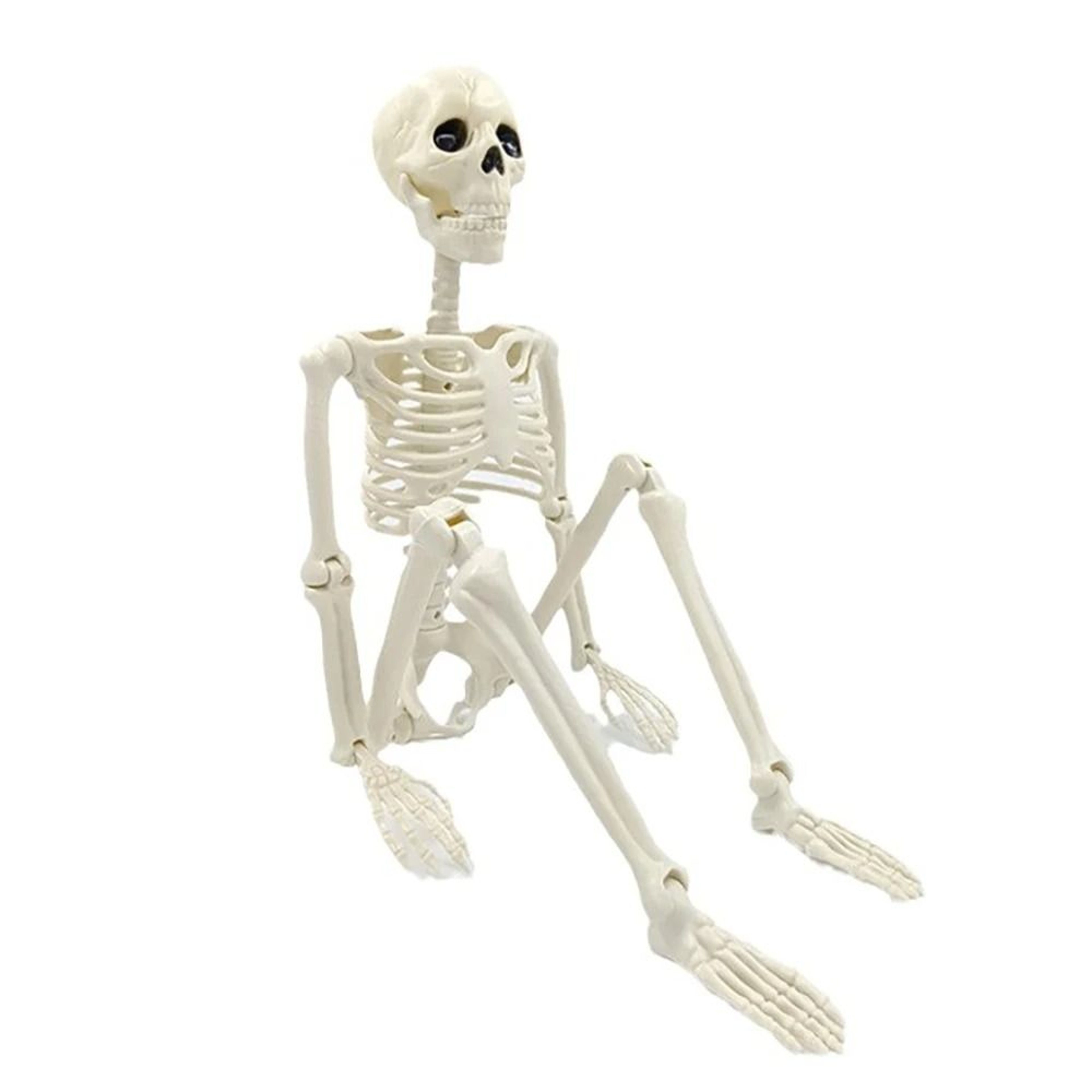 Posable Human Skeleton Halloween Horror Decoration 0