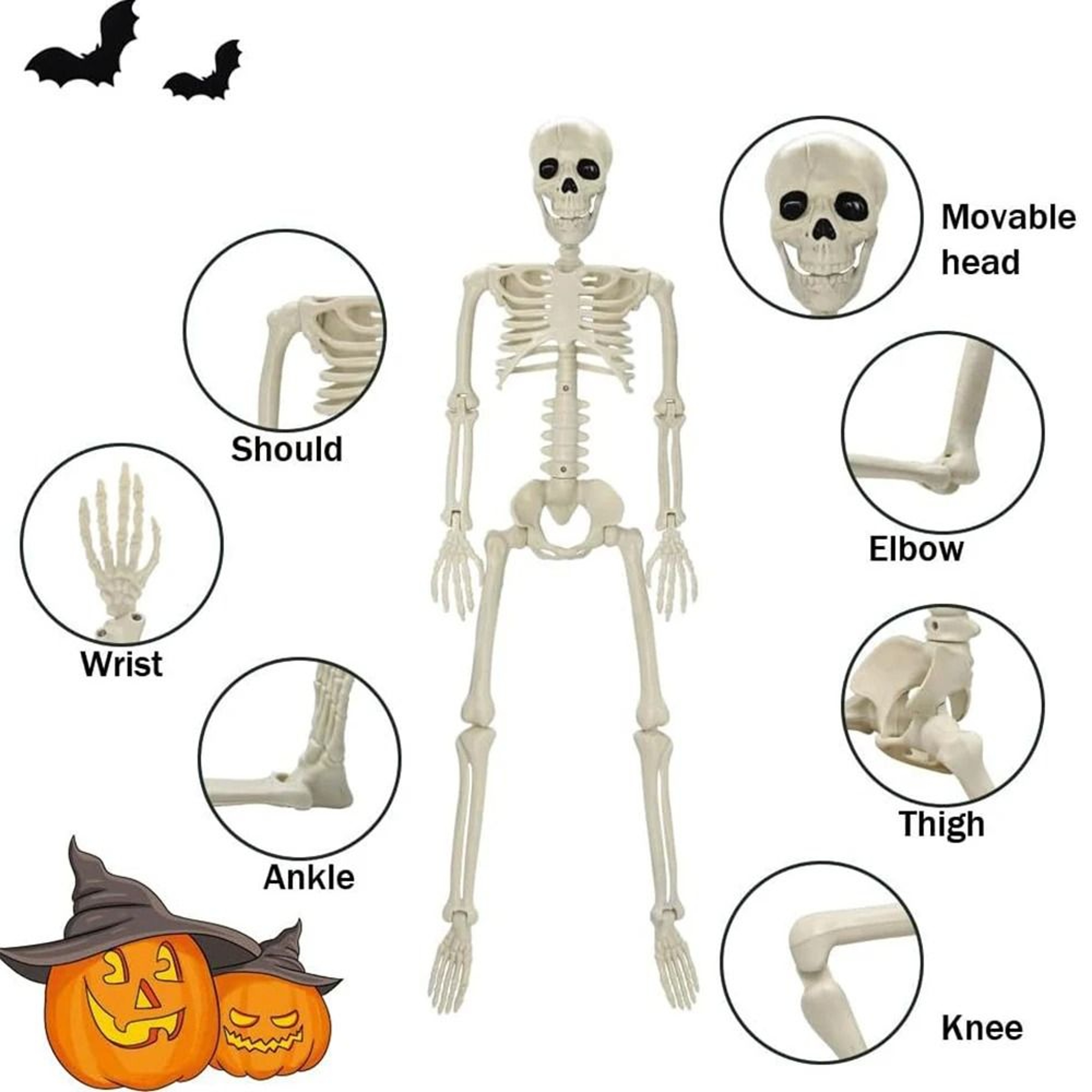 Posable Human Skeleton Halloween Horror Decoration 2