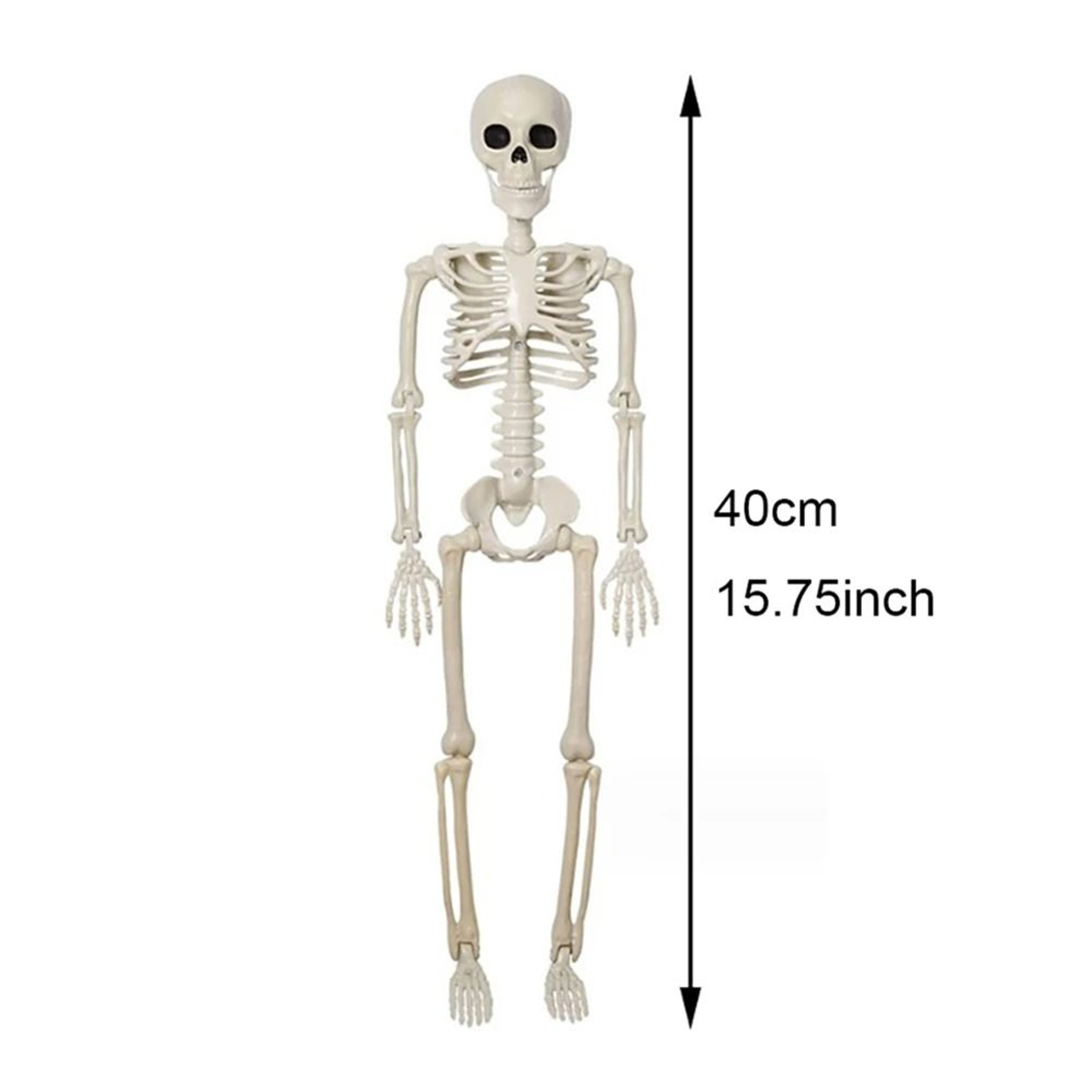 Posable Human Skeleton Halloween Horror Decoration 6