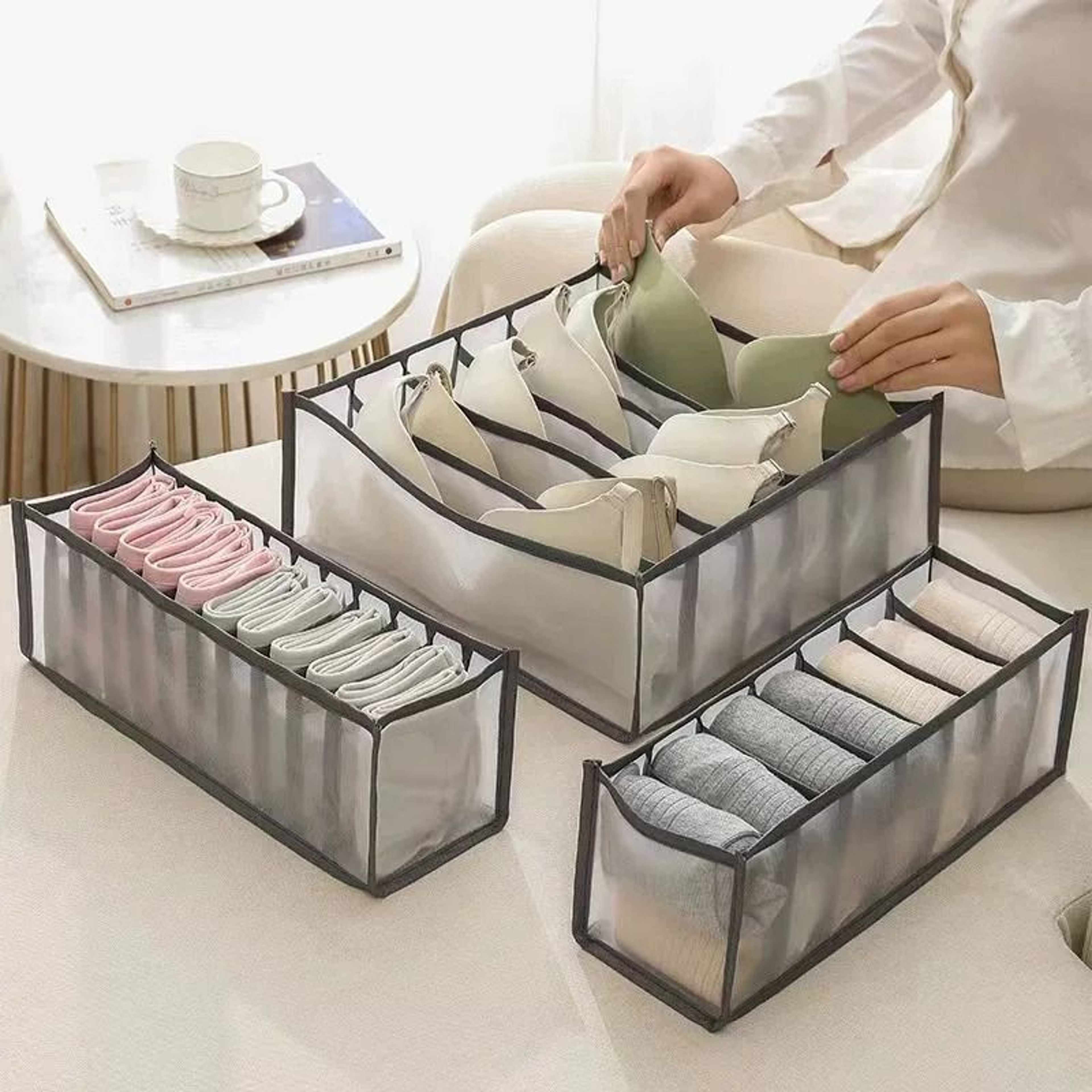 Foldable Mesh Bra And Underwear Organizer 1