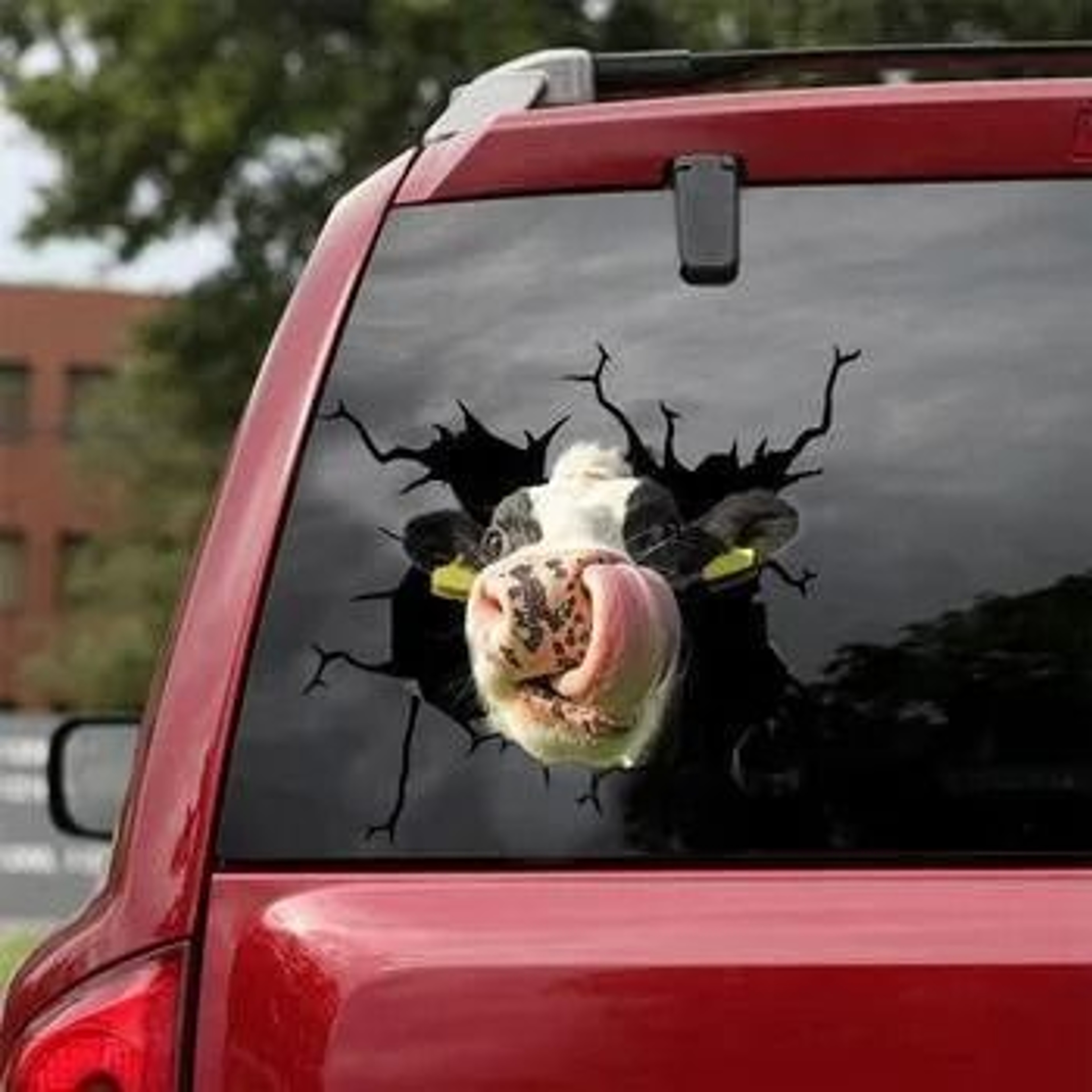 Funny 3D Chicken Window Decal 12