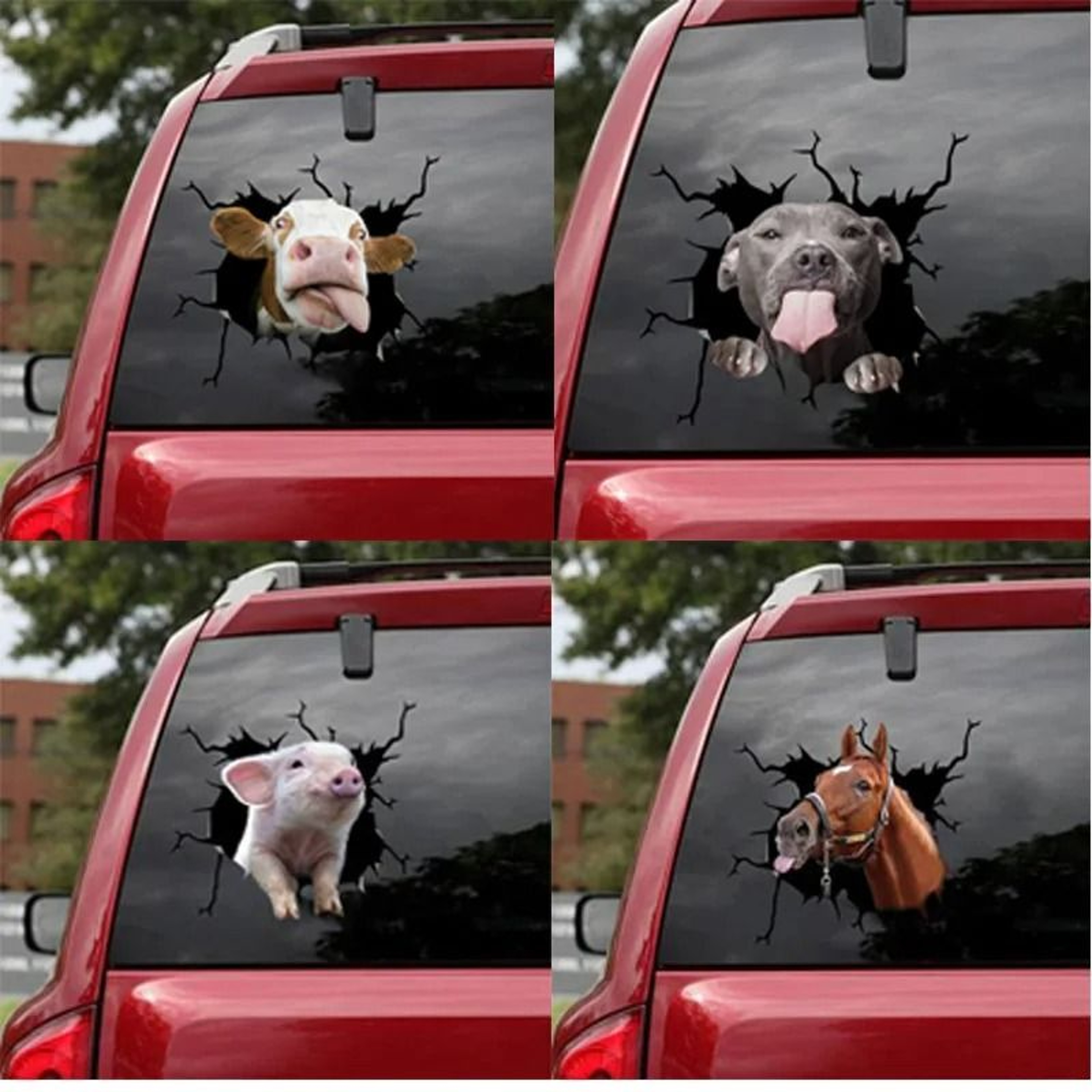 Funny 3D Chicken Window Decal 6