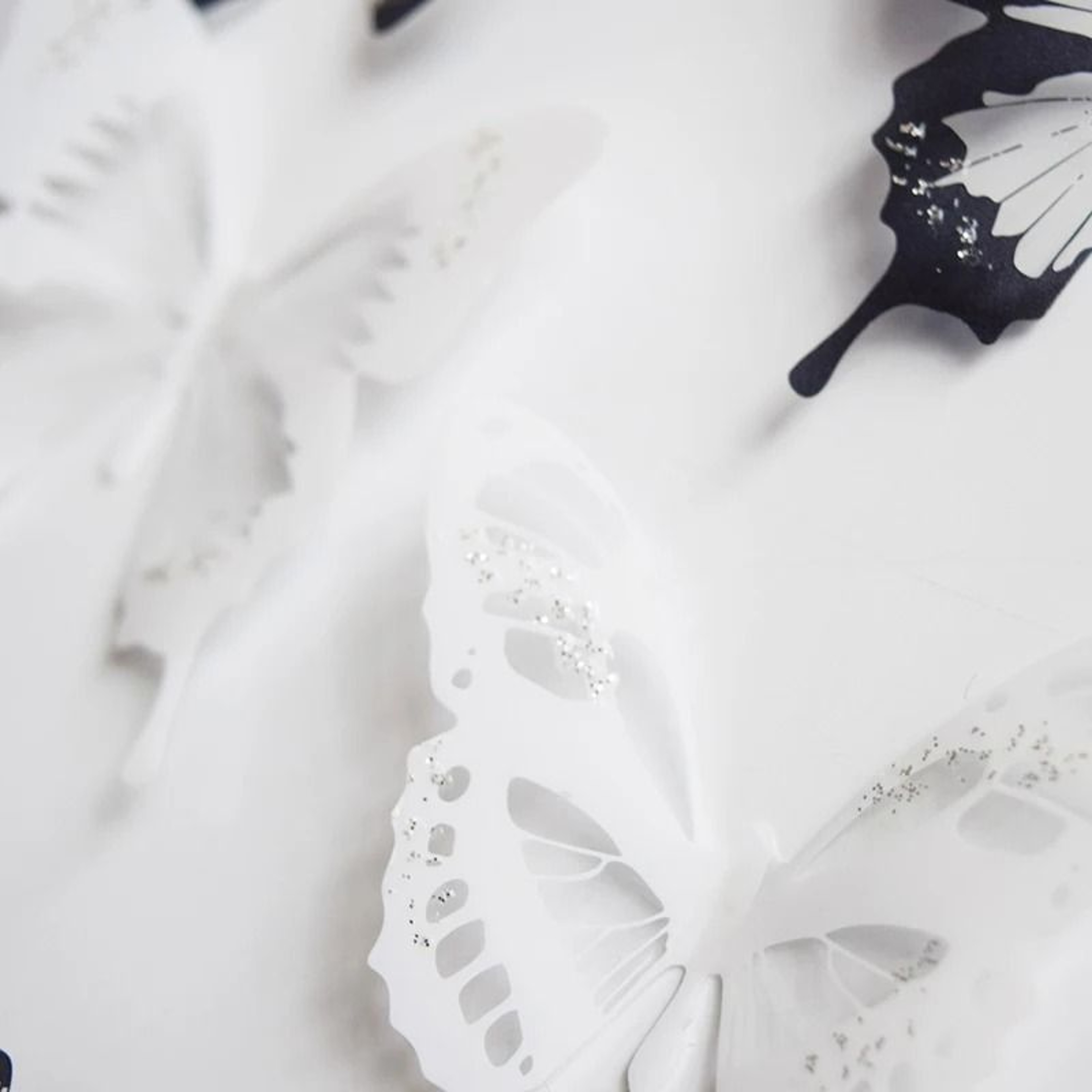 Crystalwing Butterfly Wall Decal Set 6