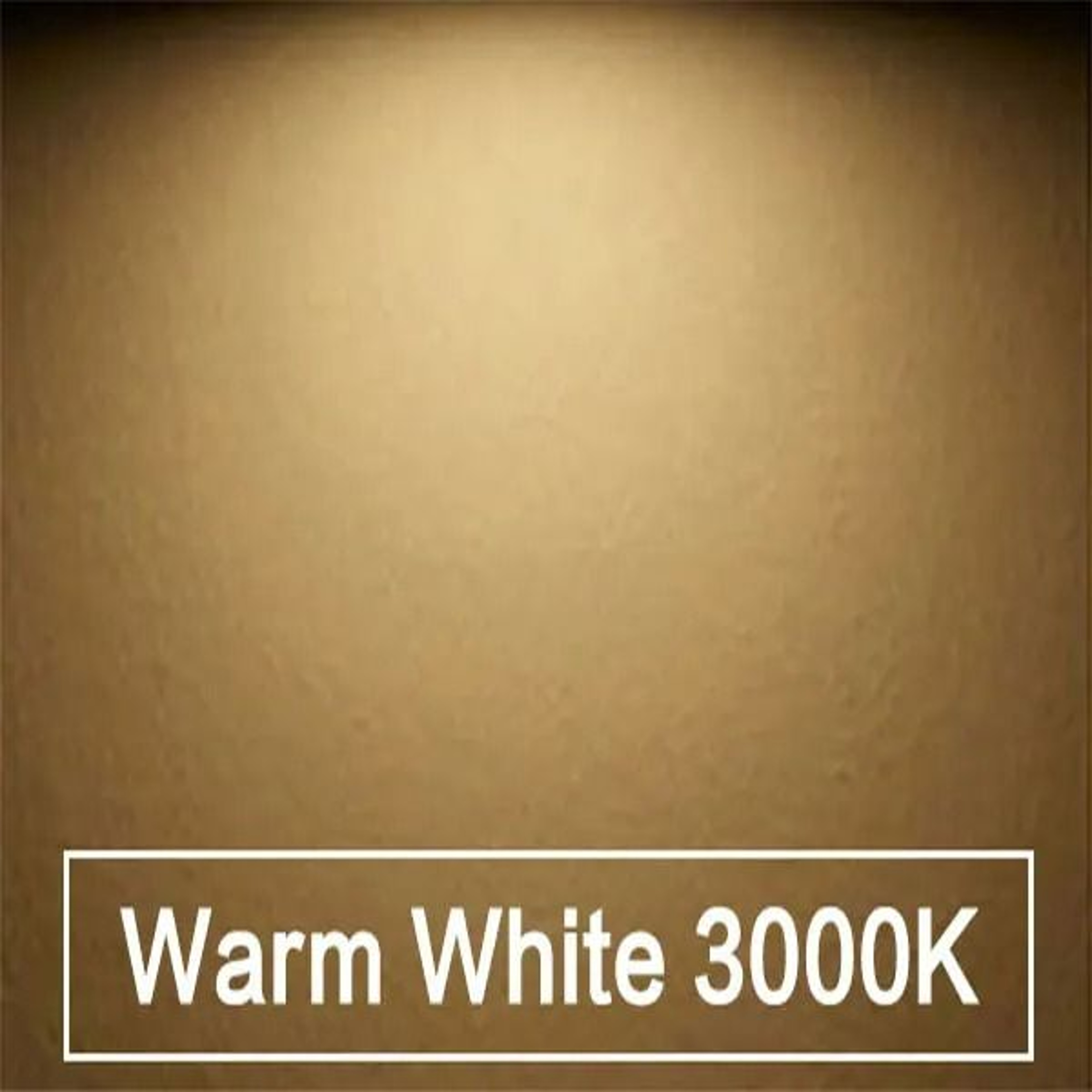 SlimRay 12V Mini Ceiling Spotlight 8