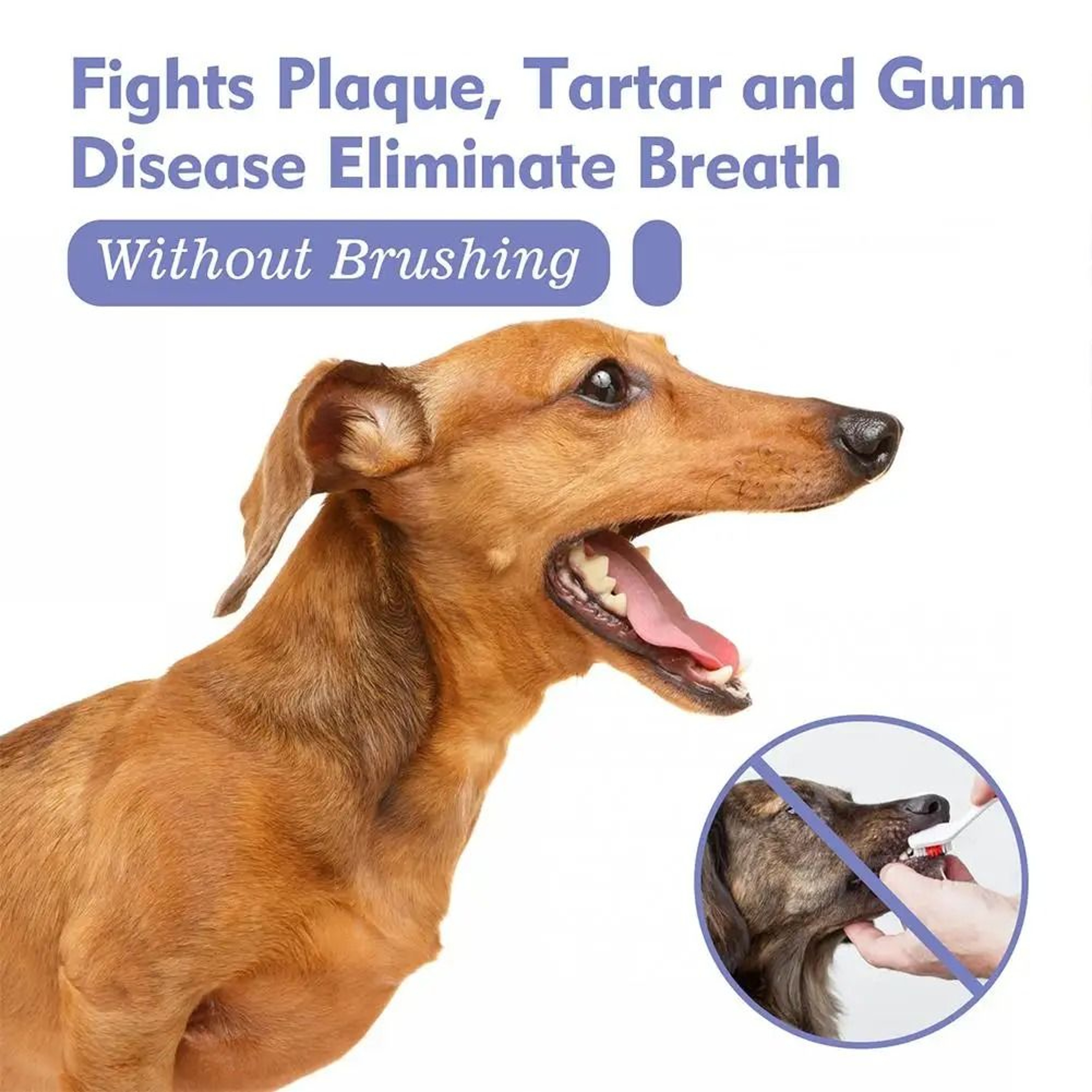 FreshPaws Pet Dental Spray 4