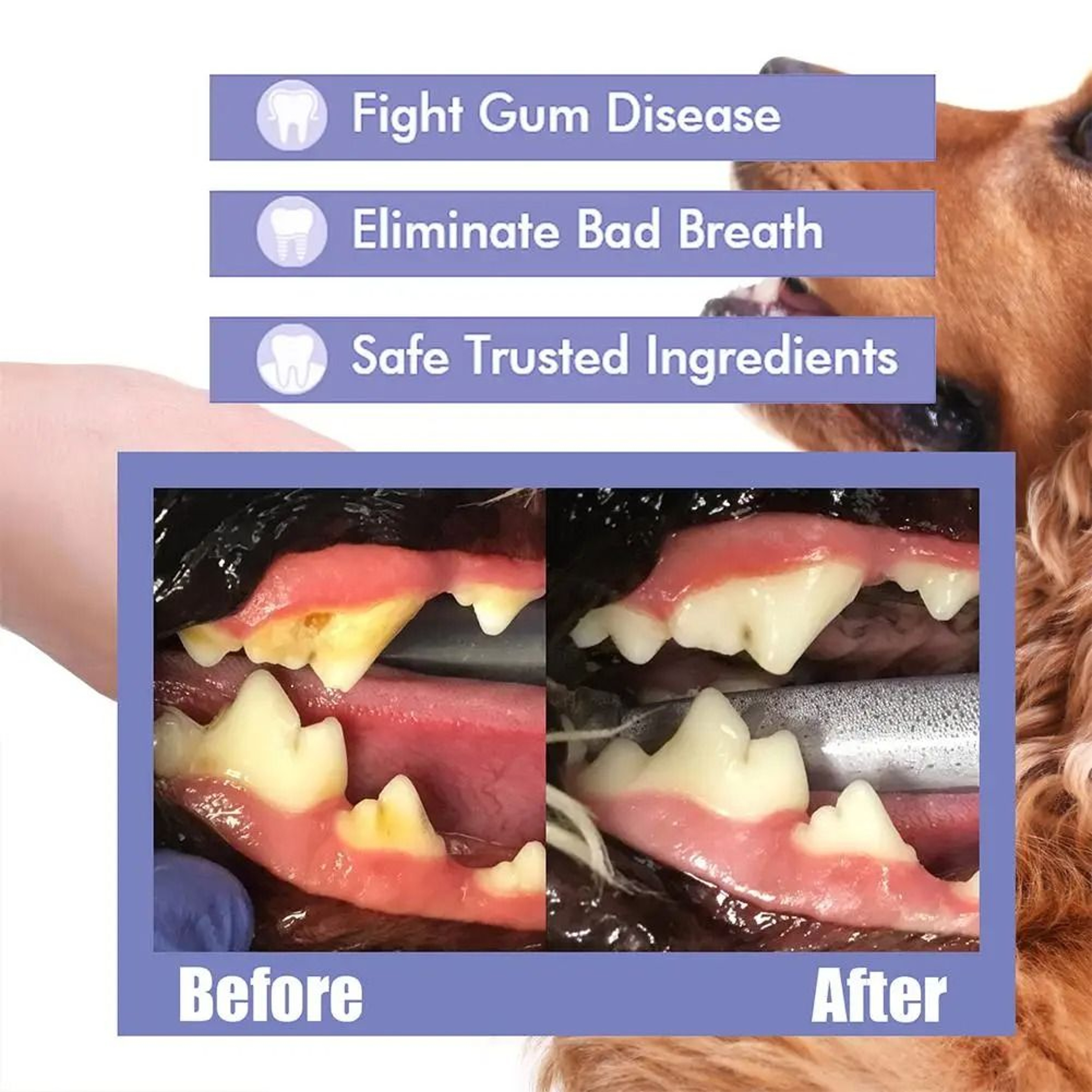 FreshPaws Pet Dental Spray 2