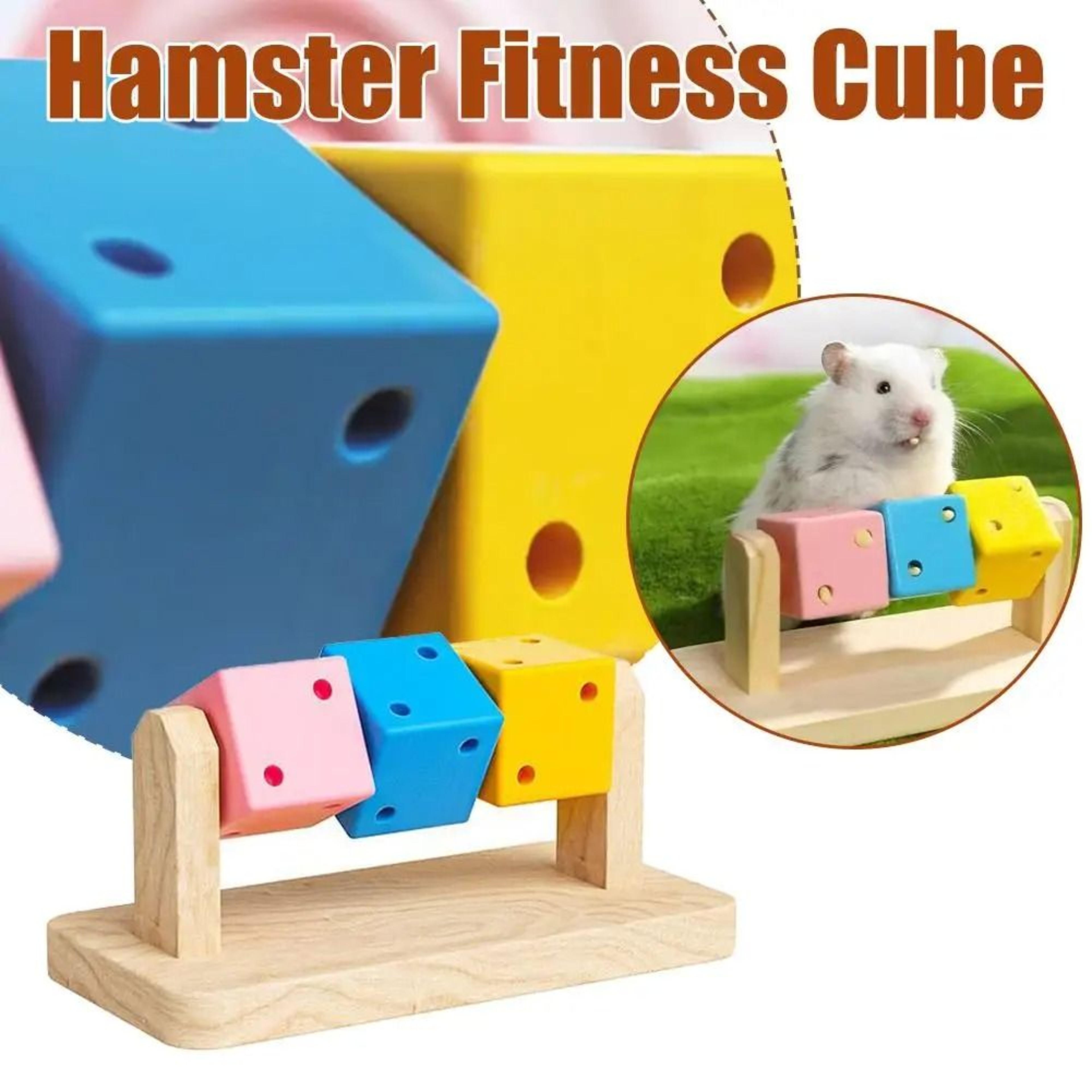 ColorCube Small Pet Chew Toy 4