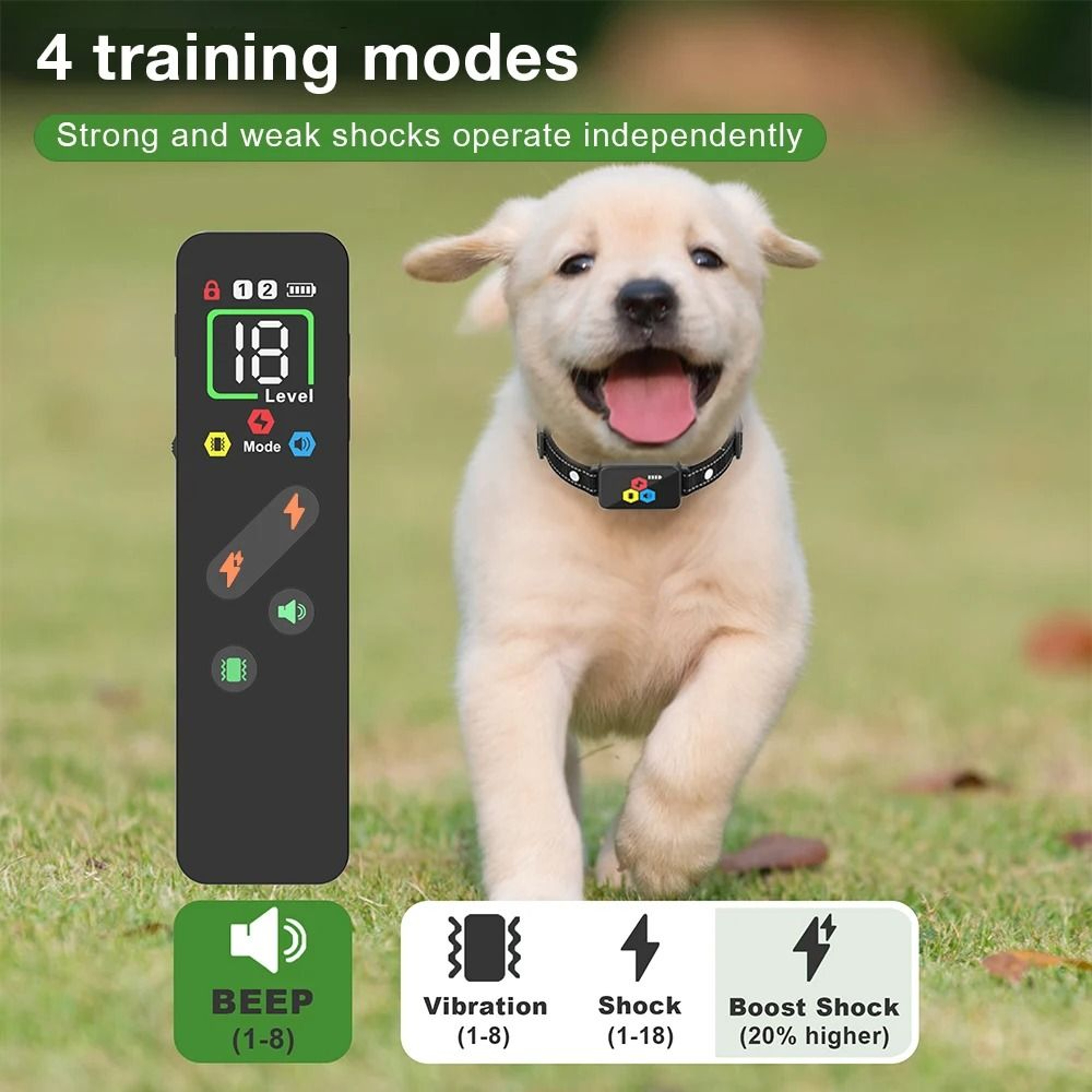 PawCommand Remote Dog Training Collar 5
