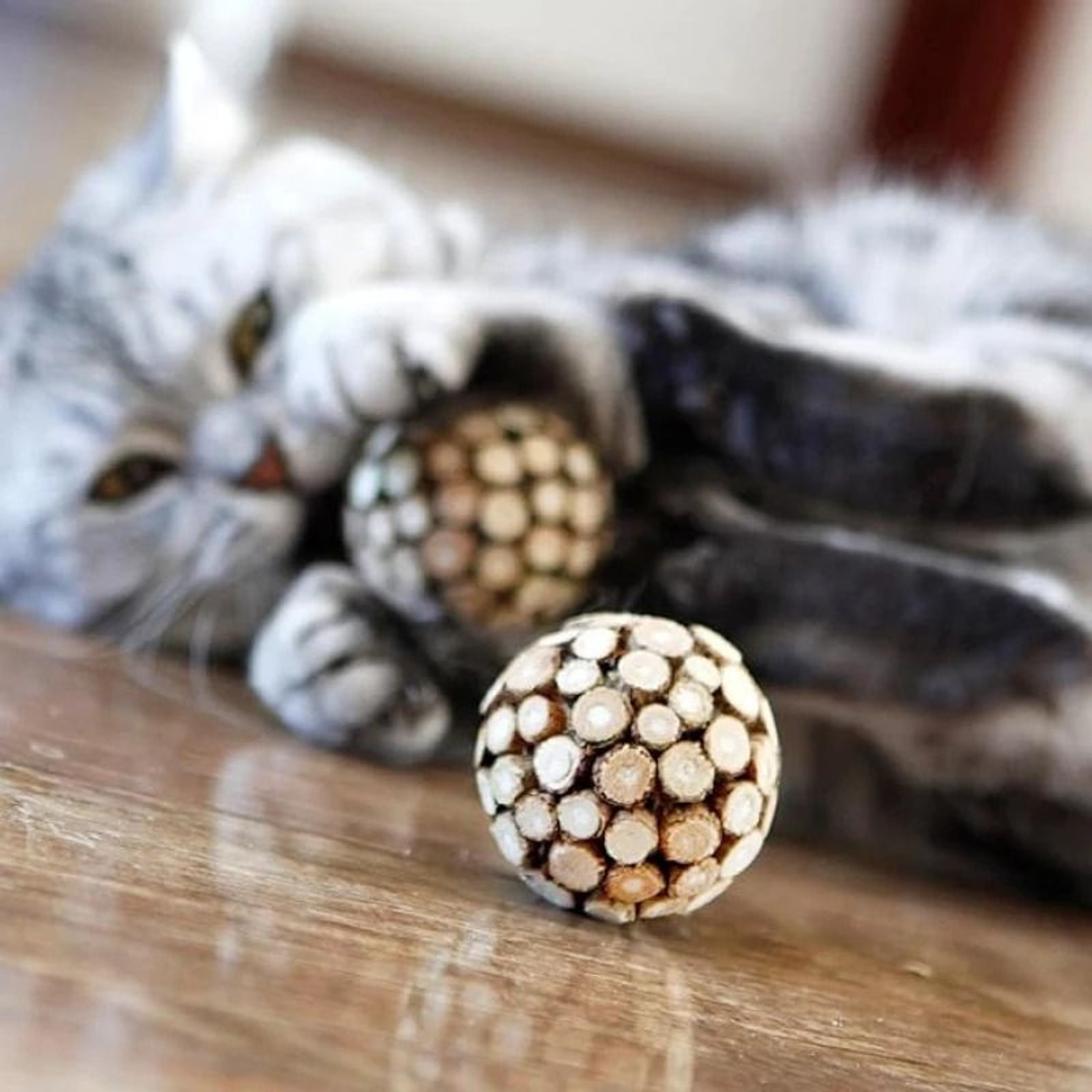 SilverPaws Silvervine Chew Toy 7