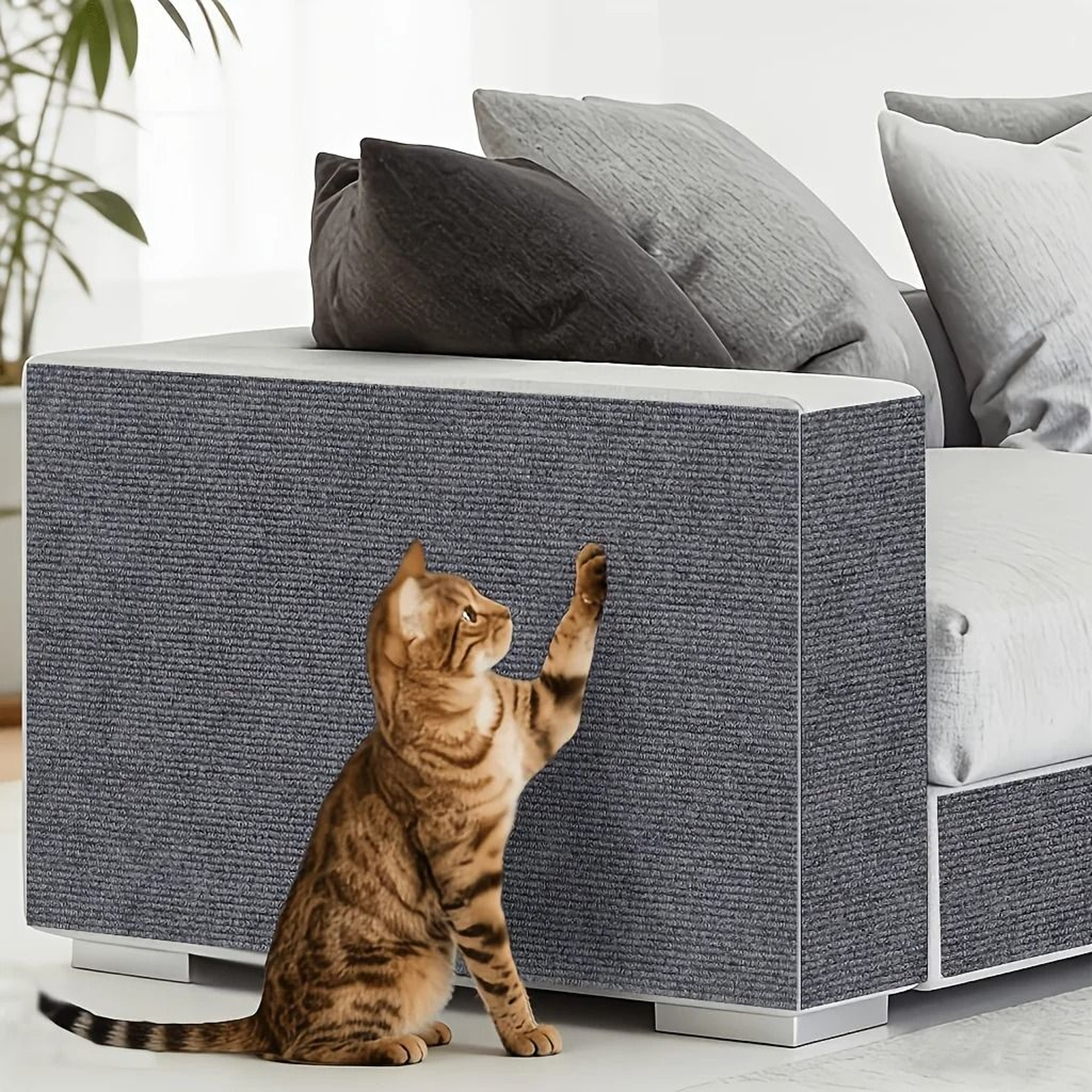 PawShield Cat Scratch Protector 5