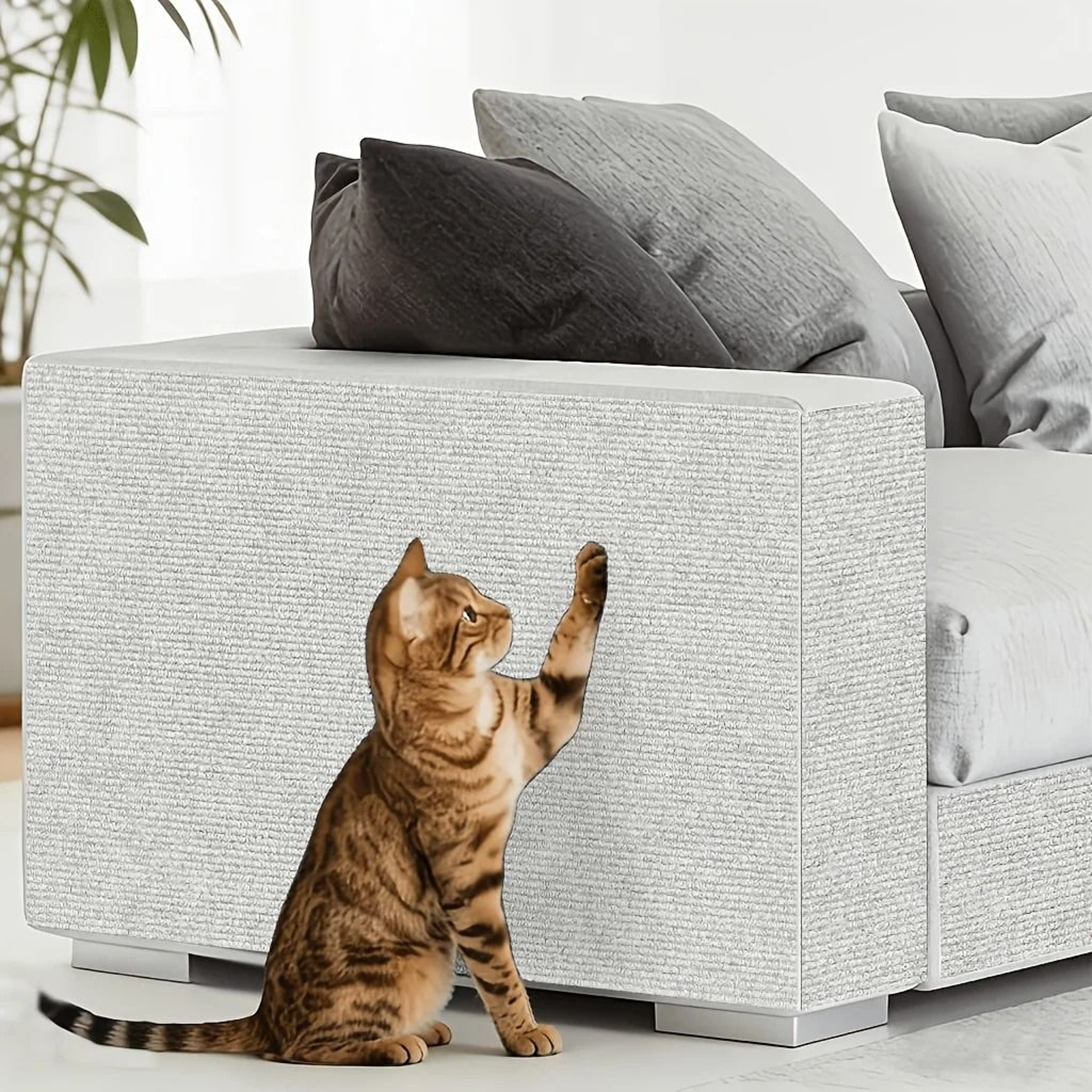 PawShield Cat Scratch Protector 11