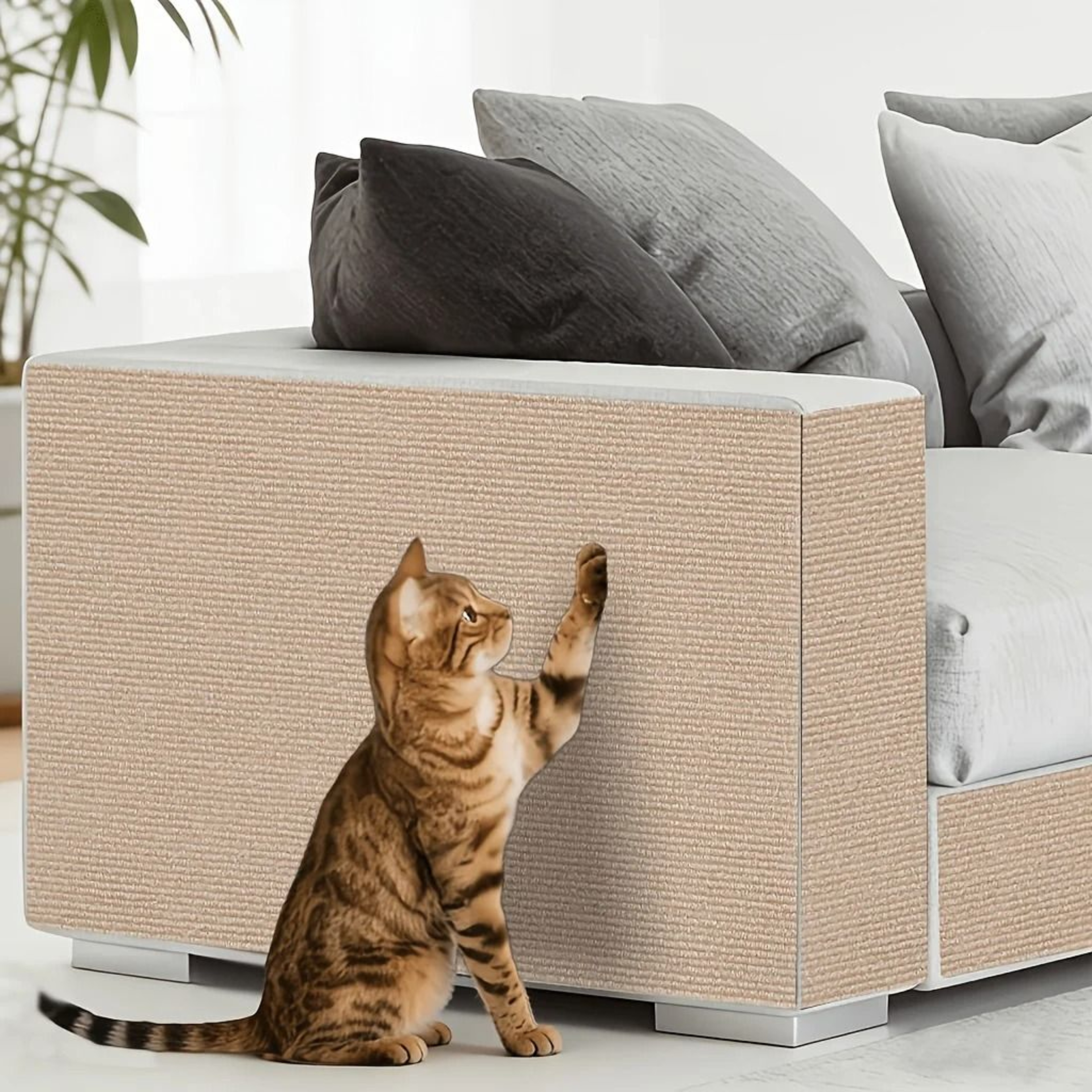 PawShield Cat Scratch Protector 9