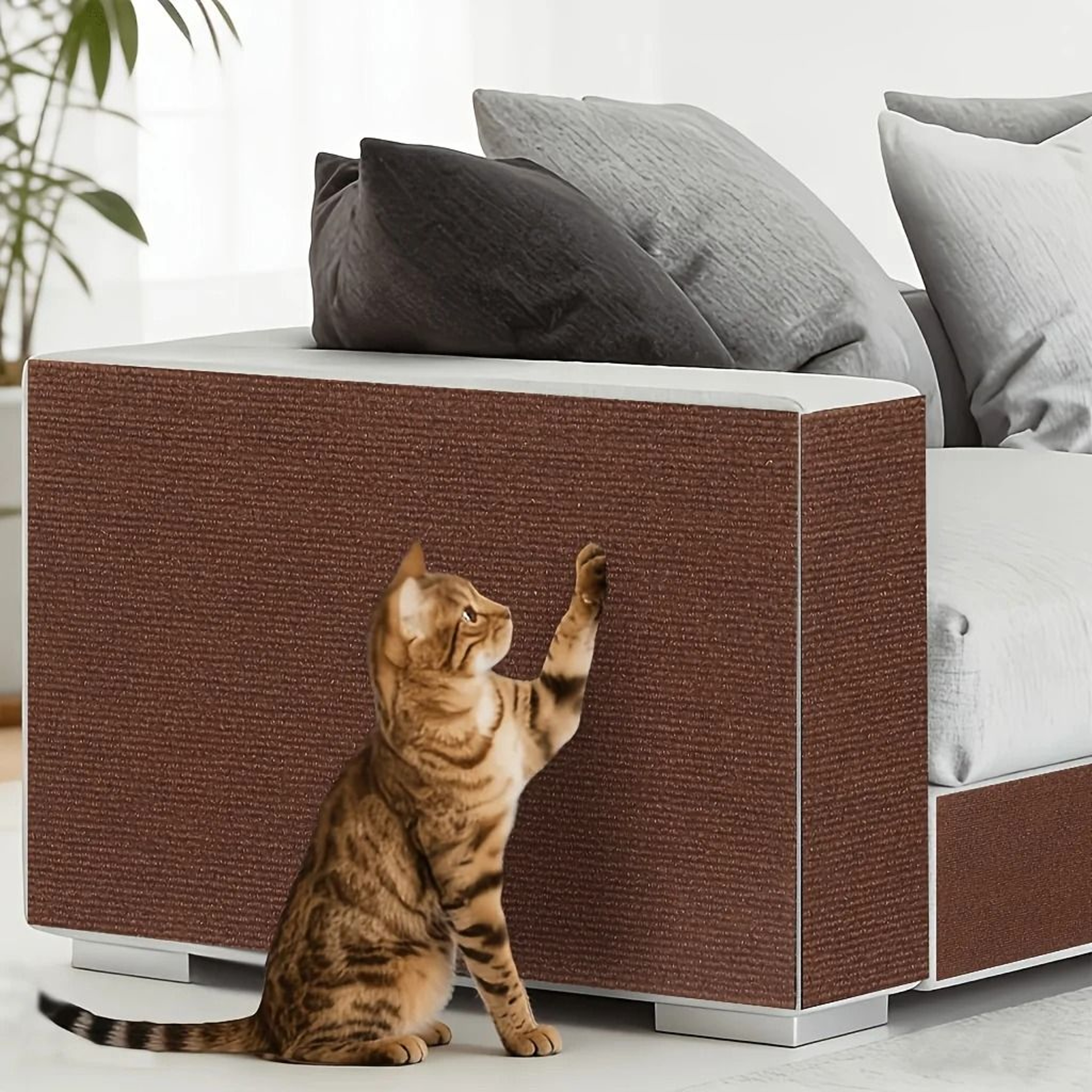PawShield Cat Scratch Protector 10