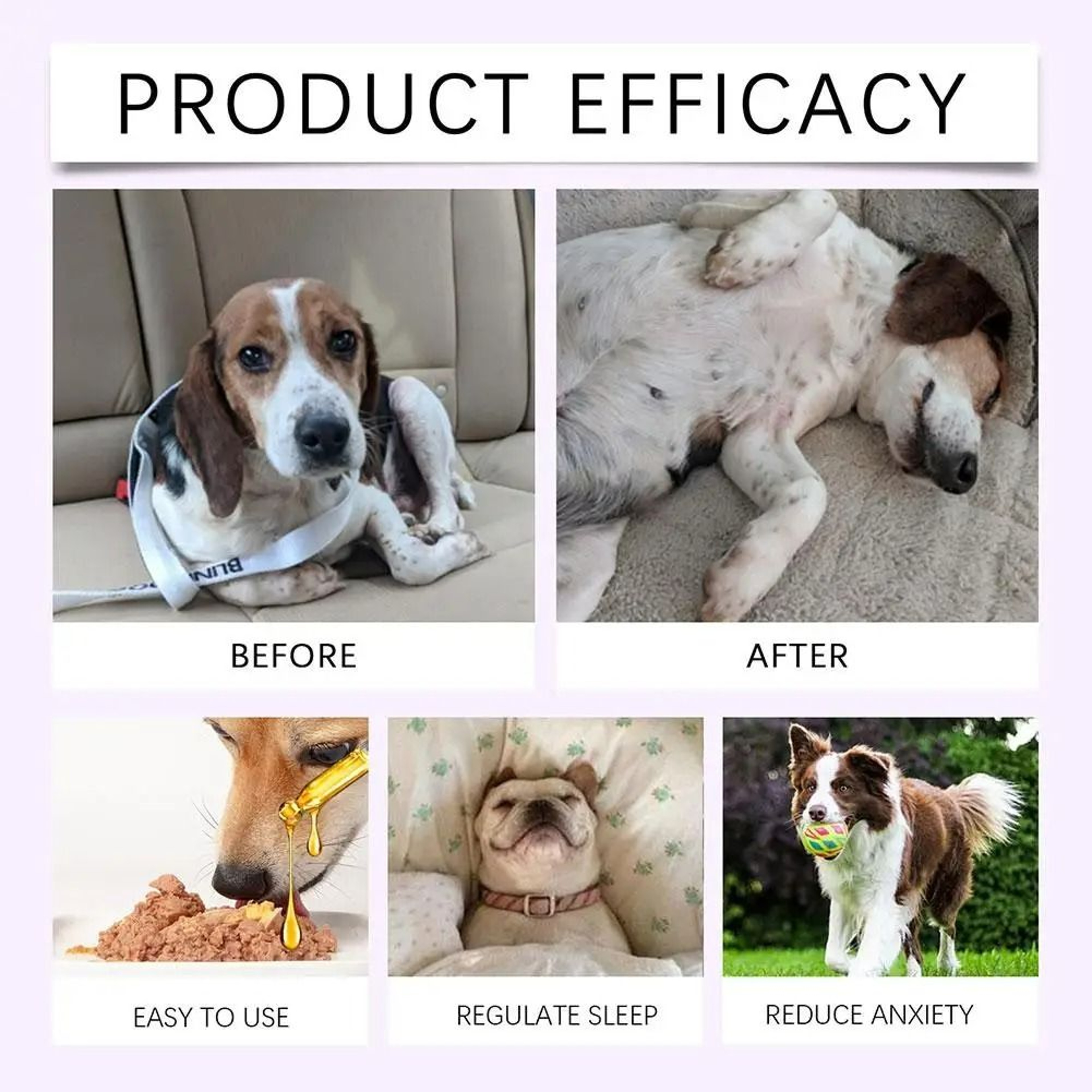 PawCalm Nighttime Support Drops 4