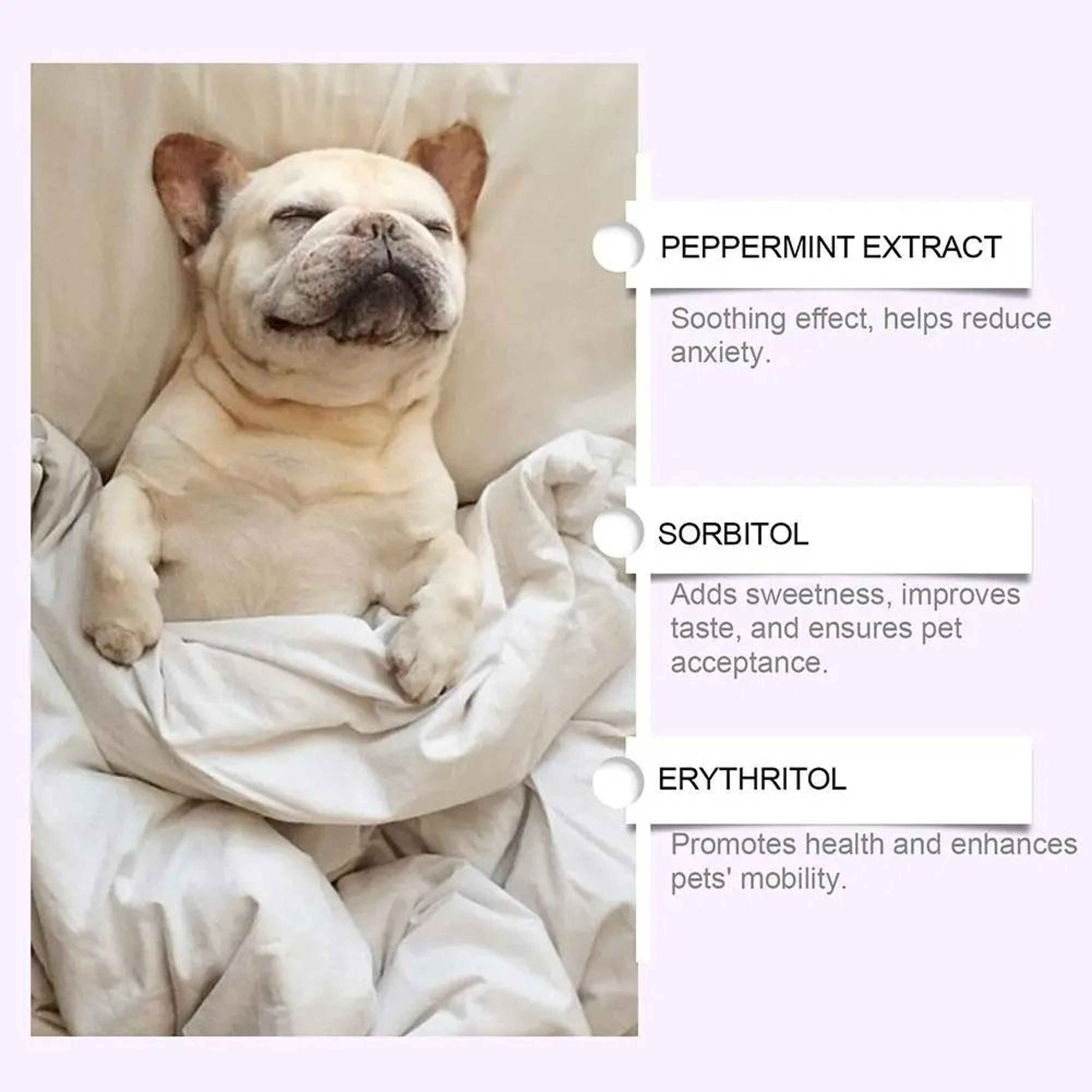PawCalm Nighttime Support Drops 3