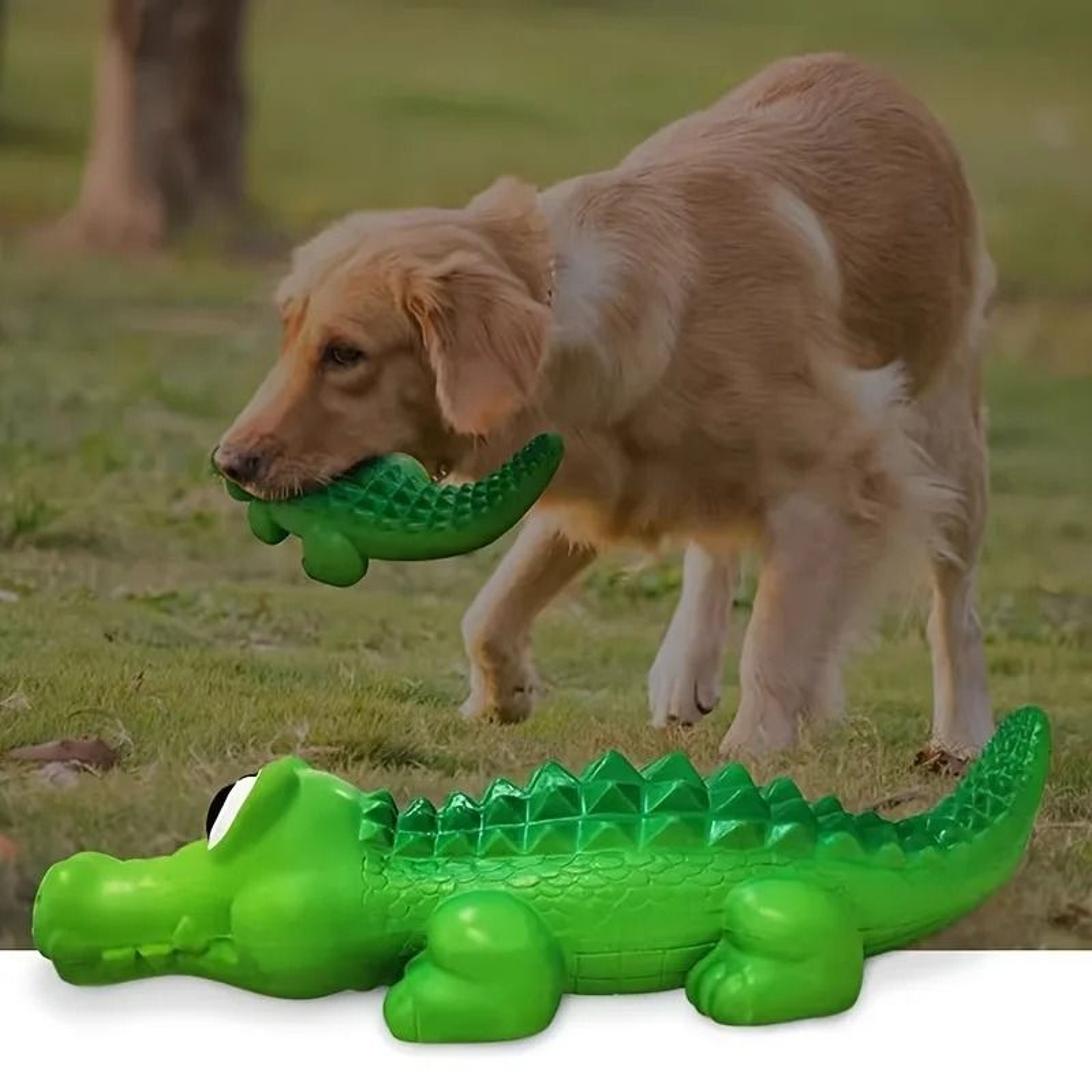 SharkChomp Squeaky Dog Ball 3