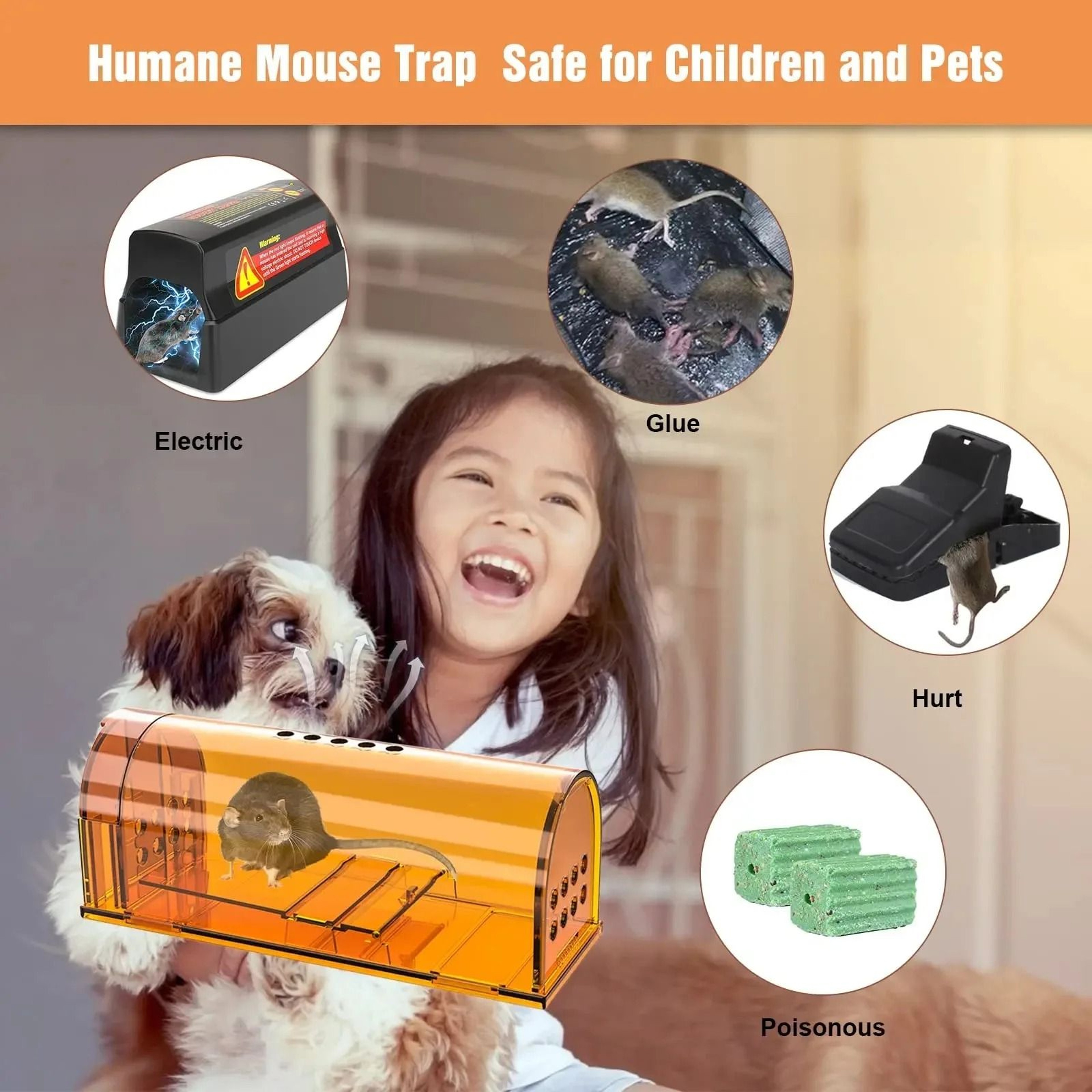 CatchKind Live Mouse Trap 3