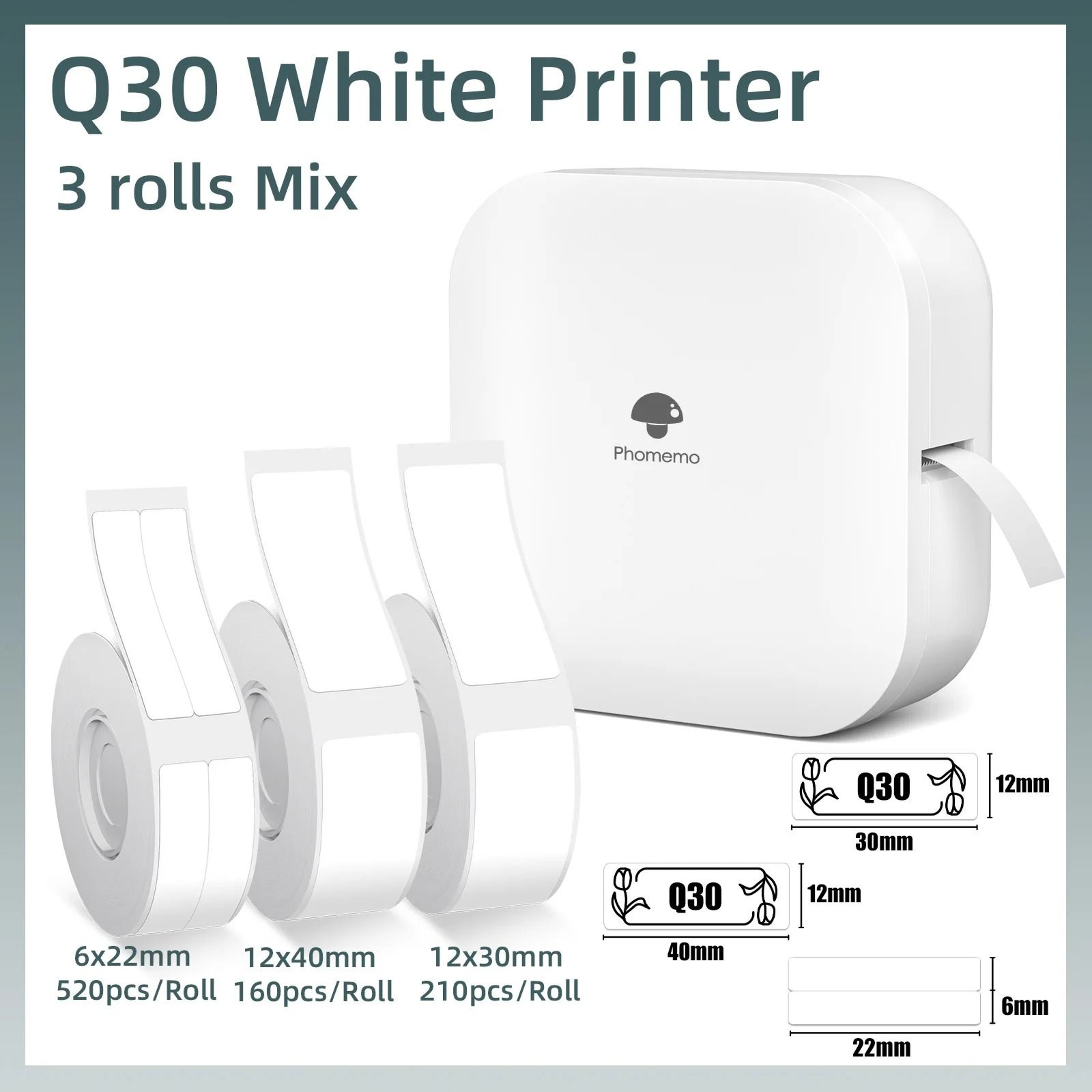 Phomemo Q30 Wireless Bluetooth Label Maker 0