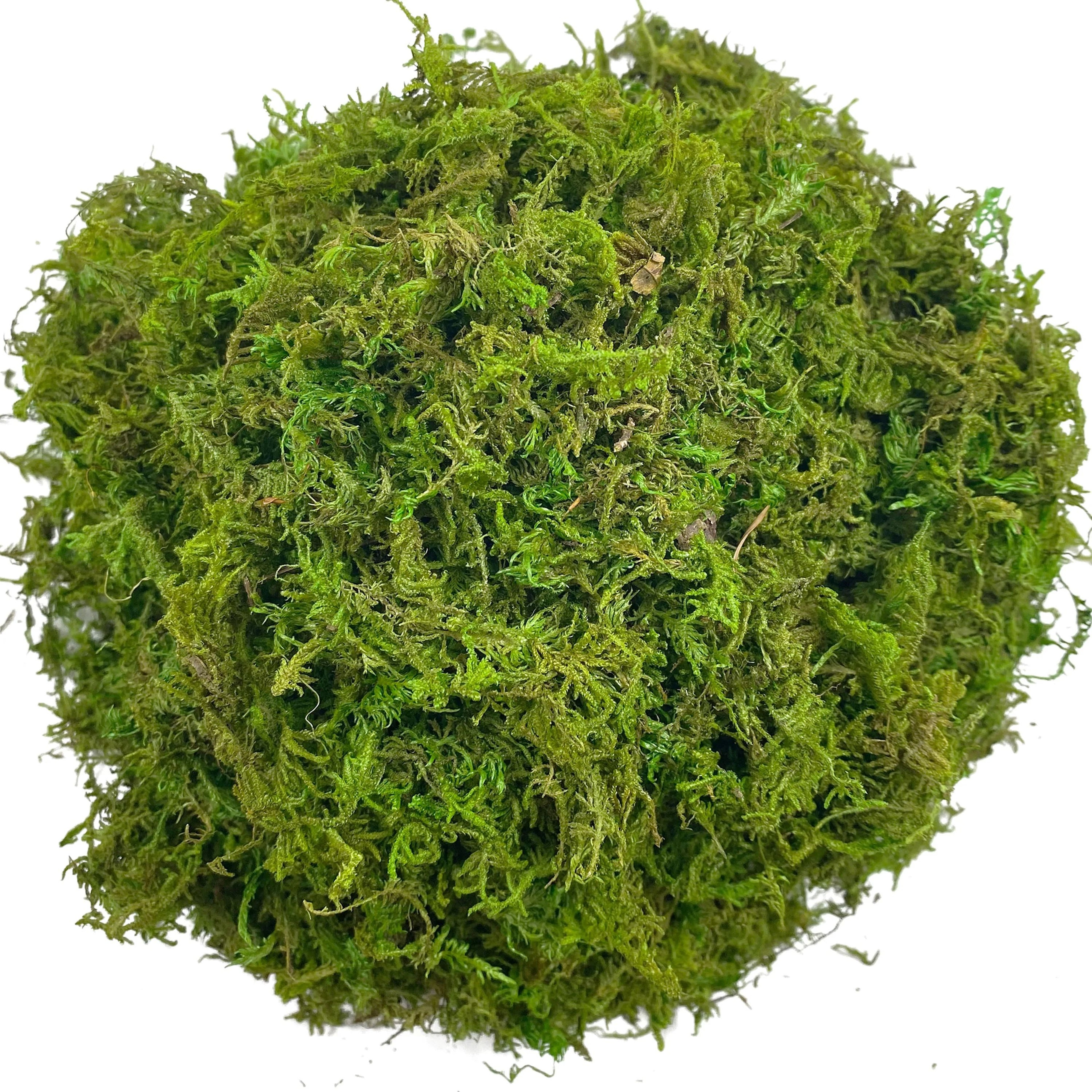 Artificial Moss Green For Potted Plants And Craft Use 1
