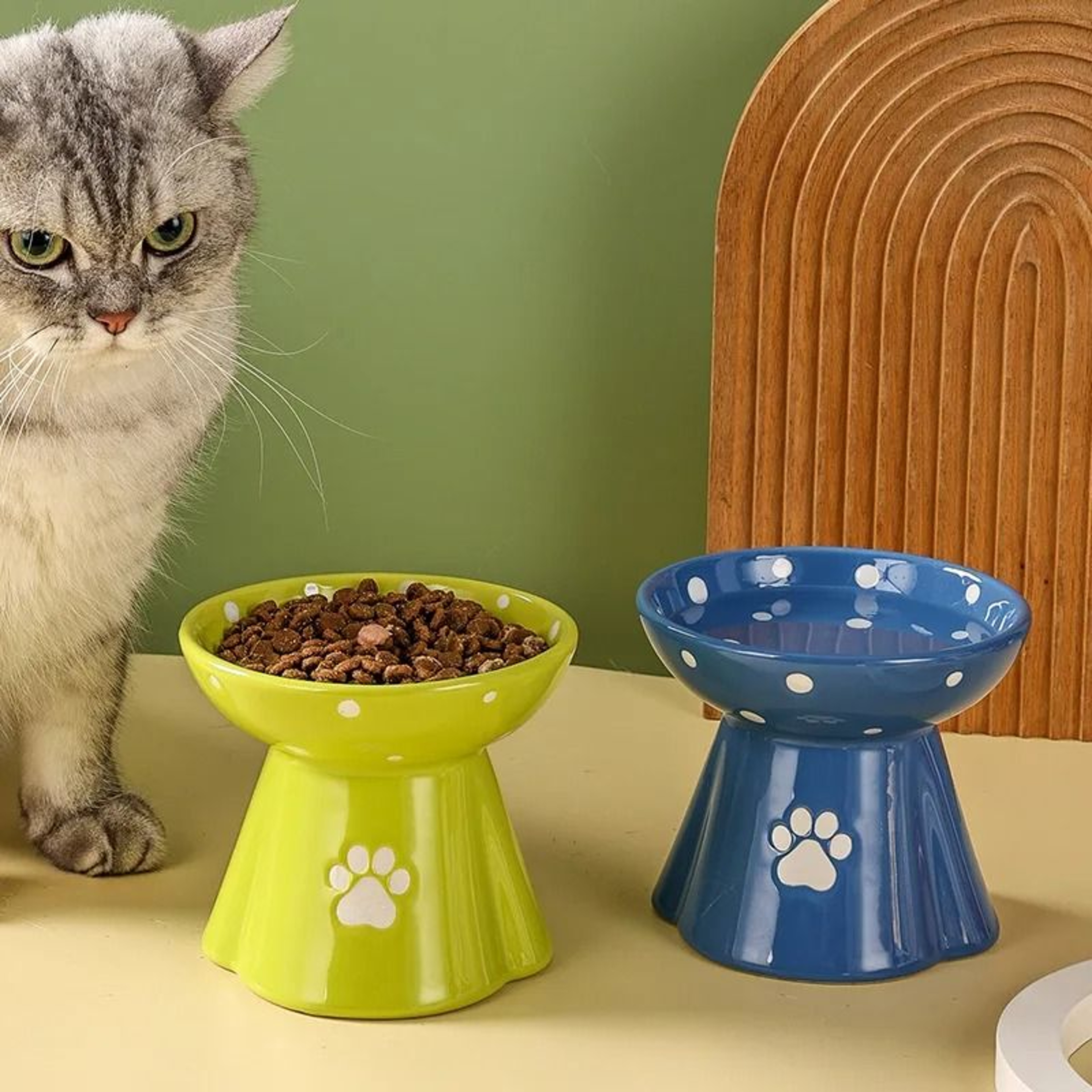 Ceramic Elevated Pet Bowl Tall Design For Cats And Dogs 1