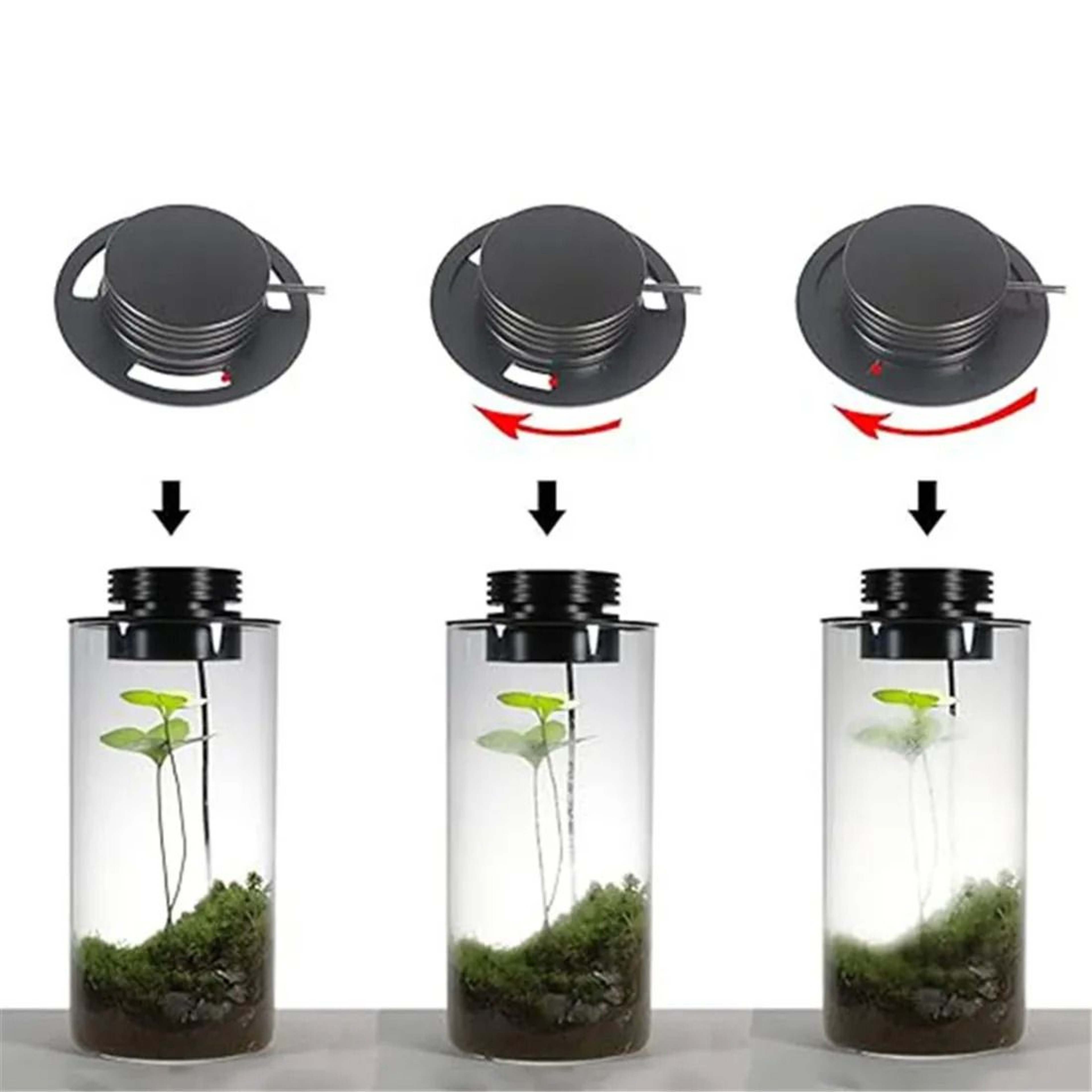 Dimmable USB Terrarium Plant Growing Lamp With Timer For Indoor Plants 4
