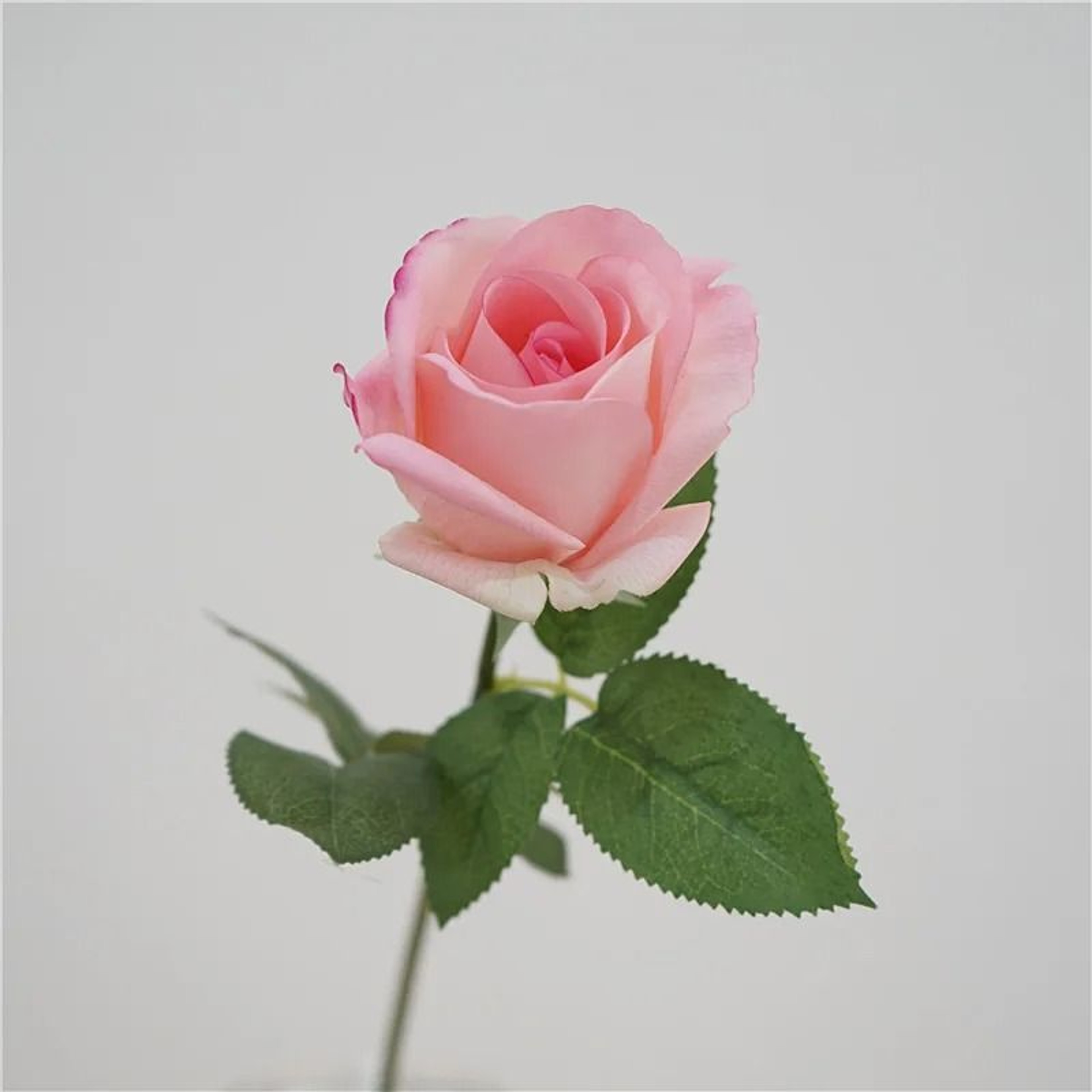 Artificial Latex Ellie Rose Branches Real Touch Fake White Roses 11