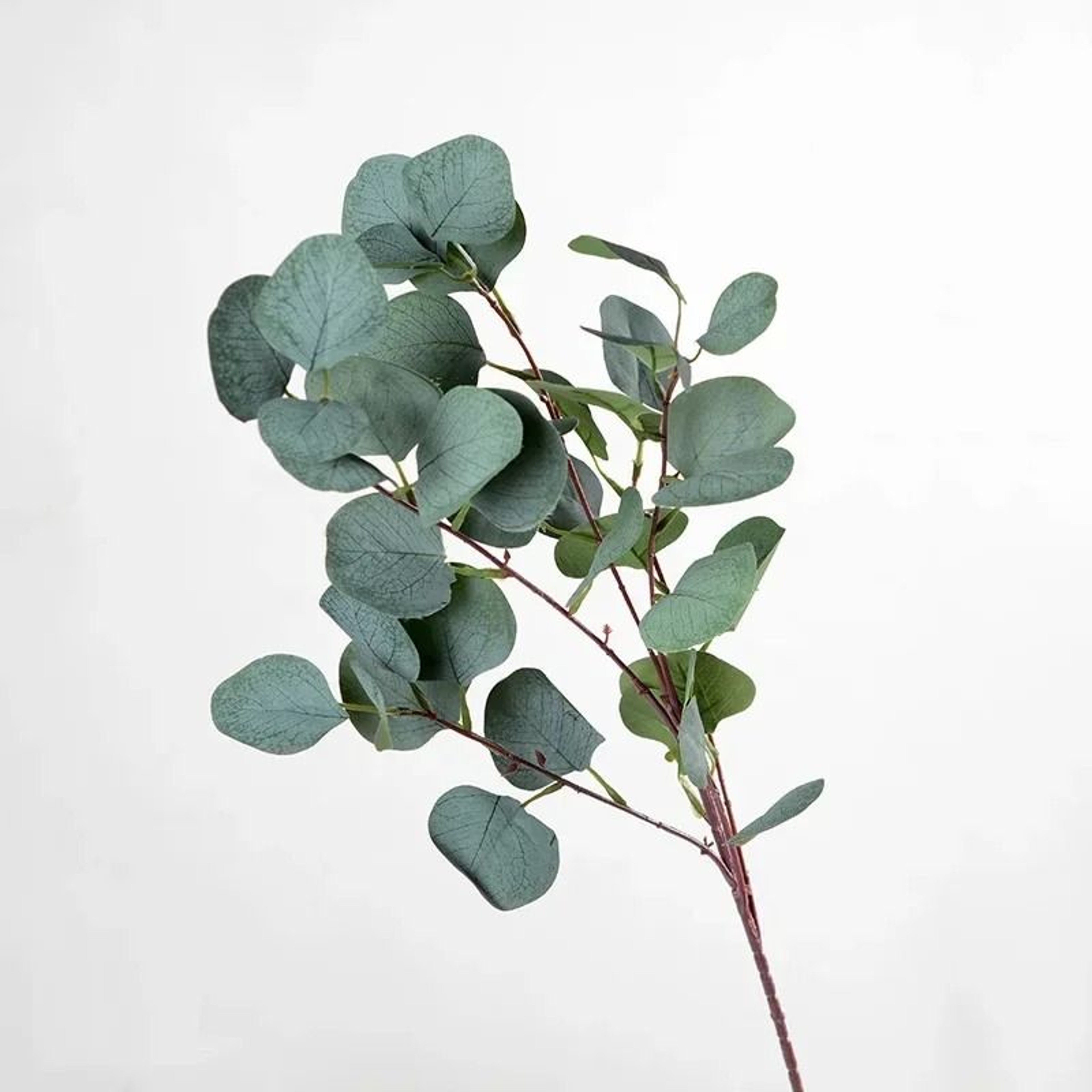 Artificial Eucalyptus Long Stem Branches For Home Decor 8