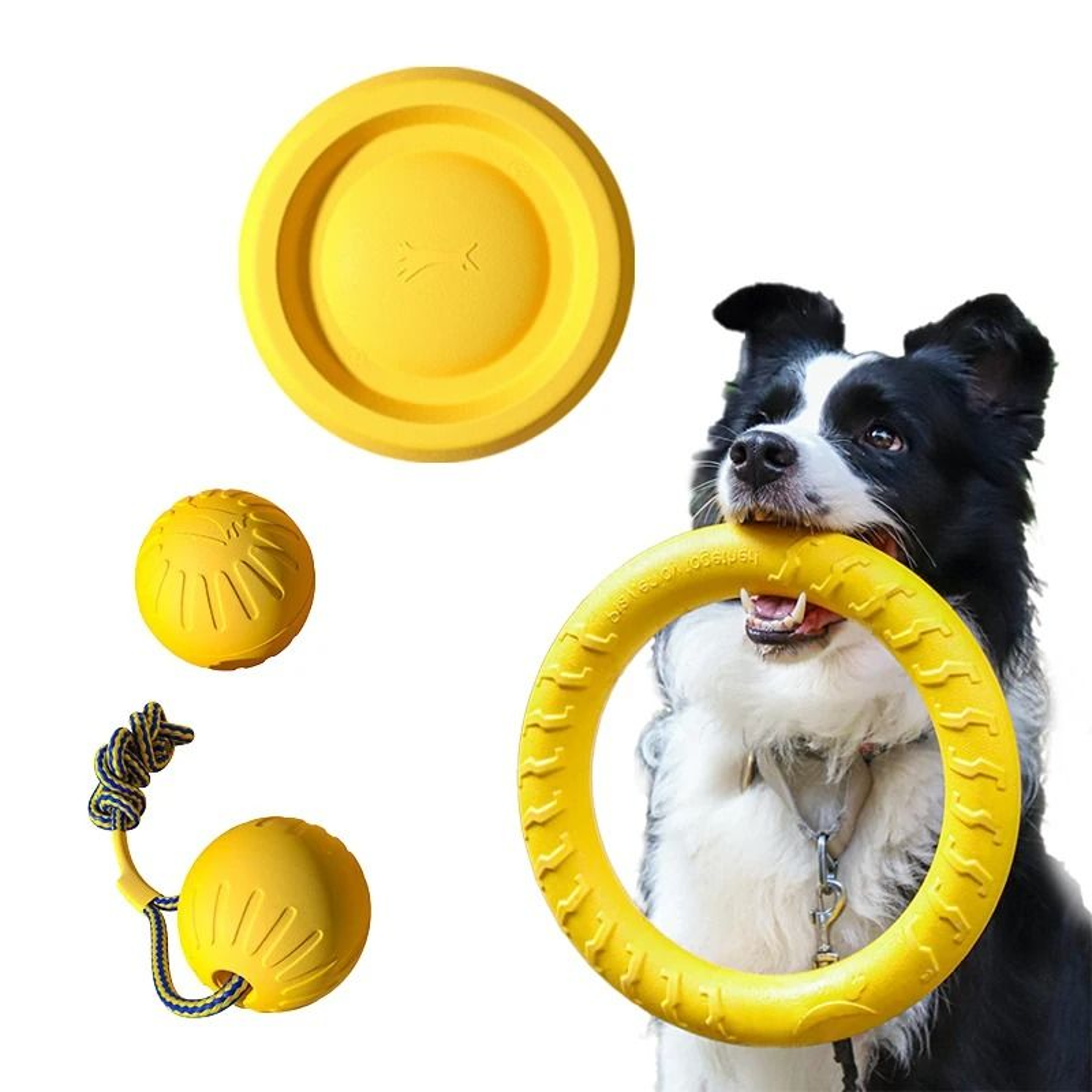 EVA Dog Toy Set 4Pack Flying Disc Ball Tug Rope Chew Proof Teeth Cleaning Set 0