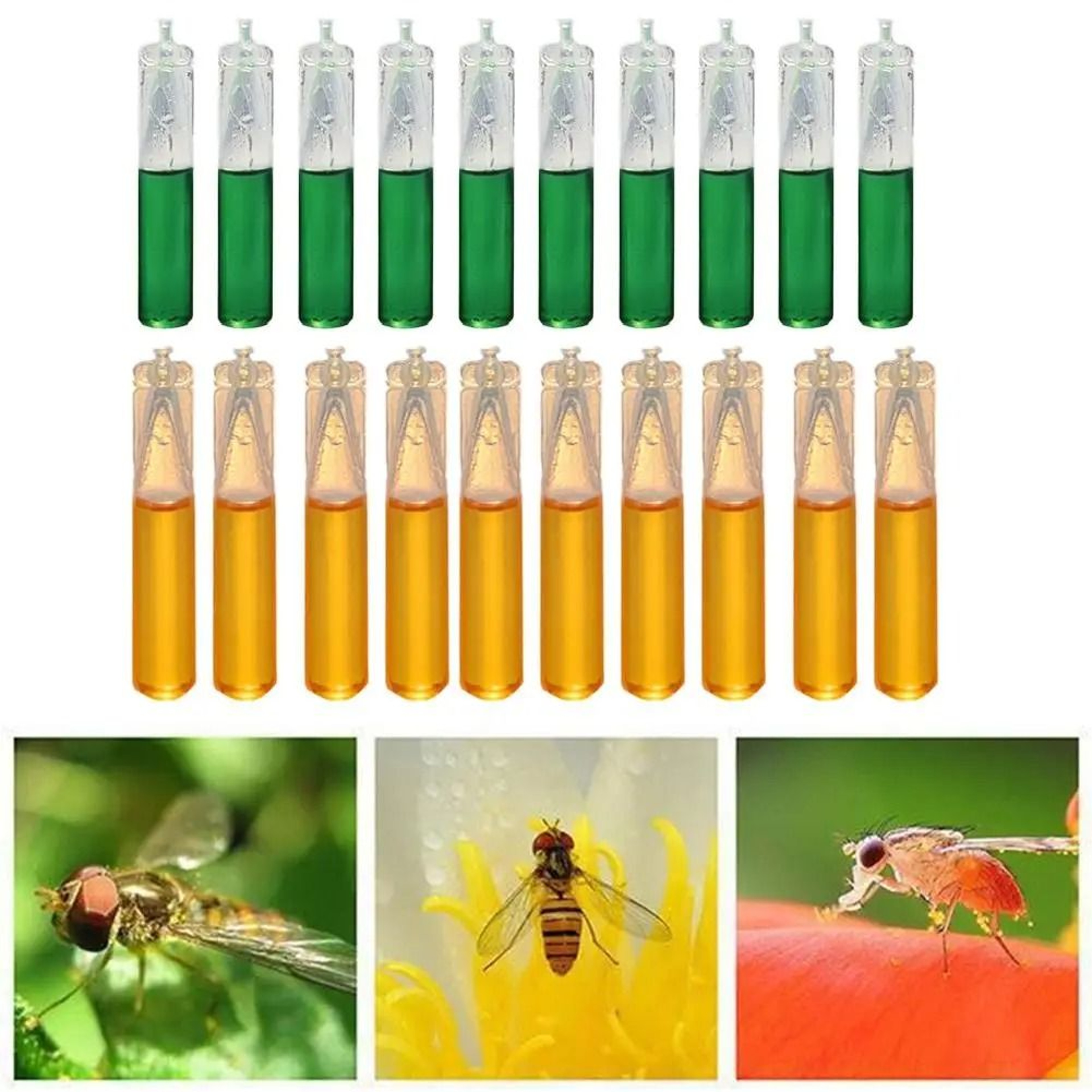 Fruit Fly Attractant Liquid For Home Kitchen Pest Control 4