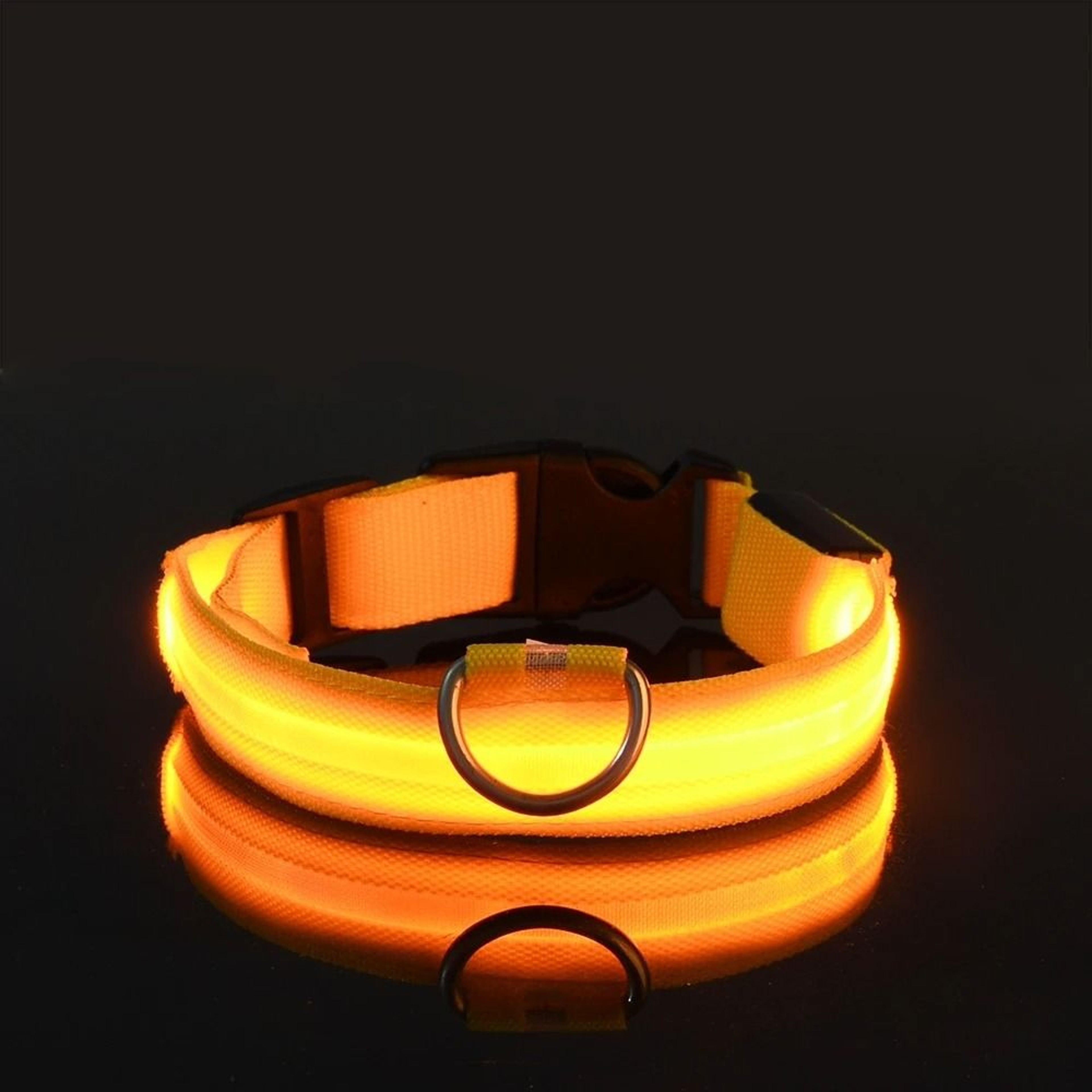Nylon LED Night Safety Glow Dog Leash And Collar 10