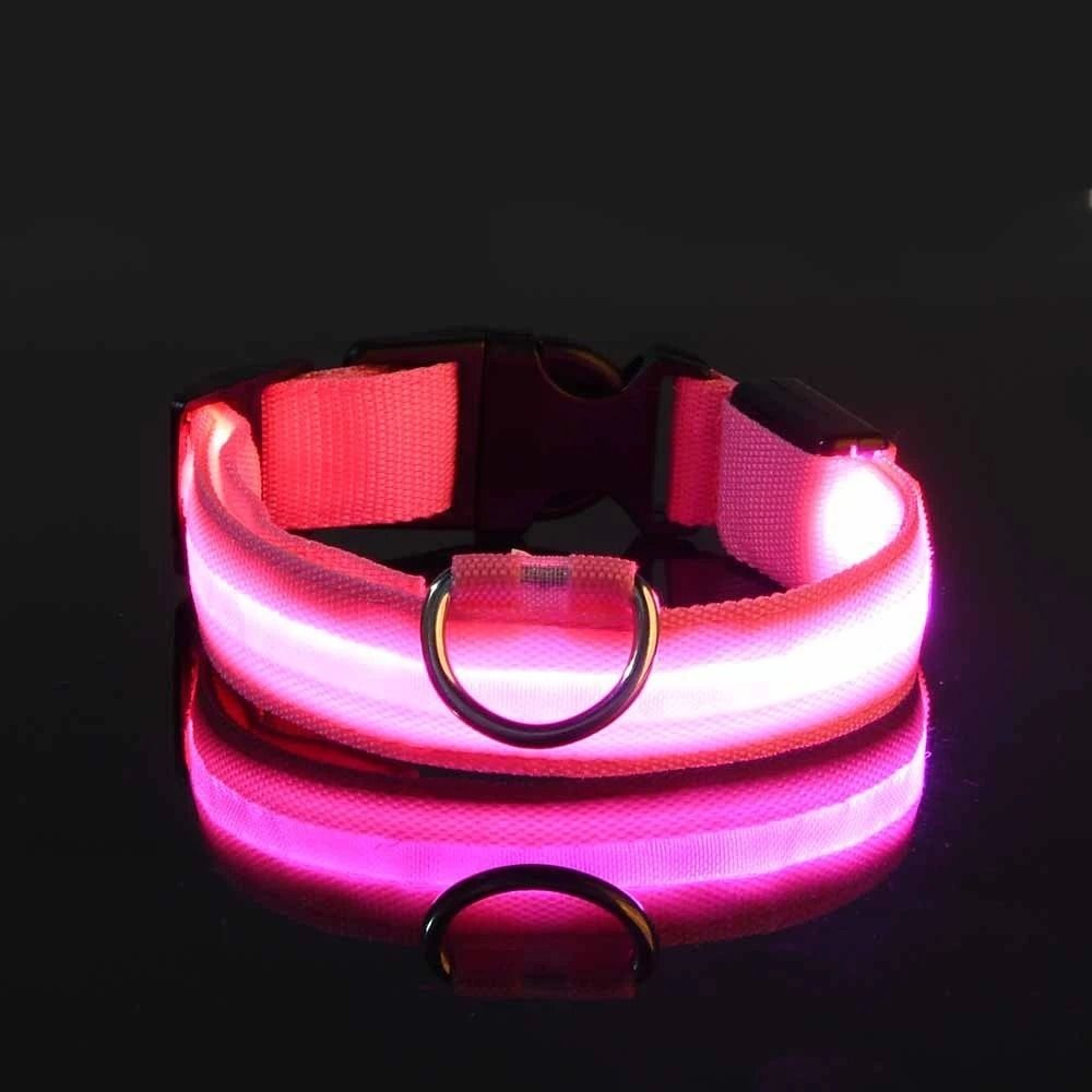 Nylon LED Night Safety Glow Dog Leash And Collar 5