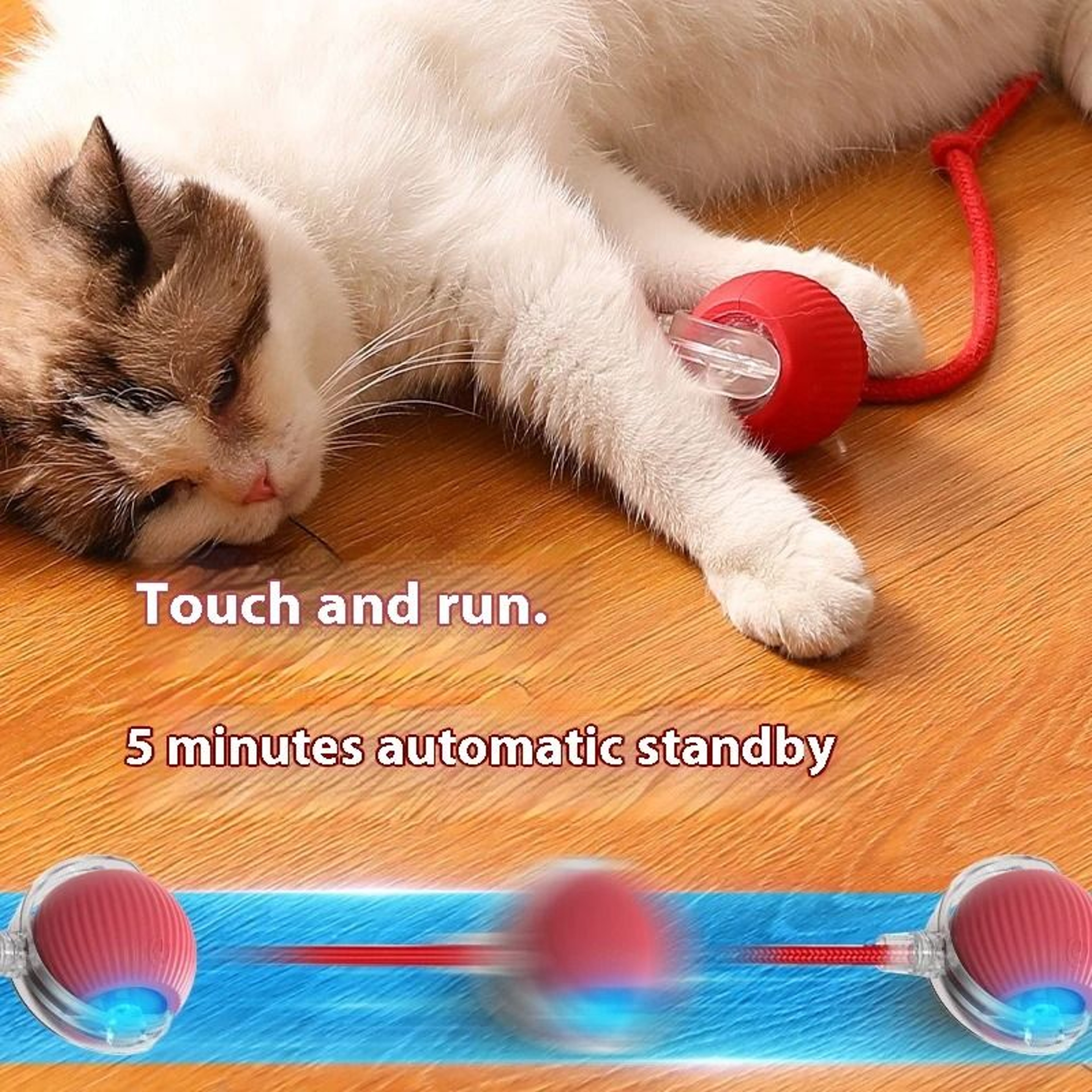 Electric Cat Ball Toy With Automatic Rolling And Teaser Movement 3